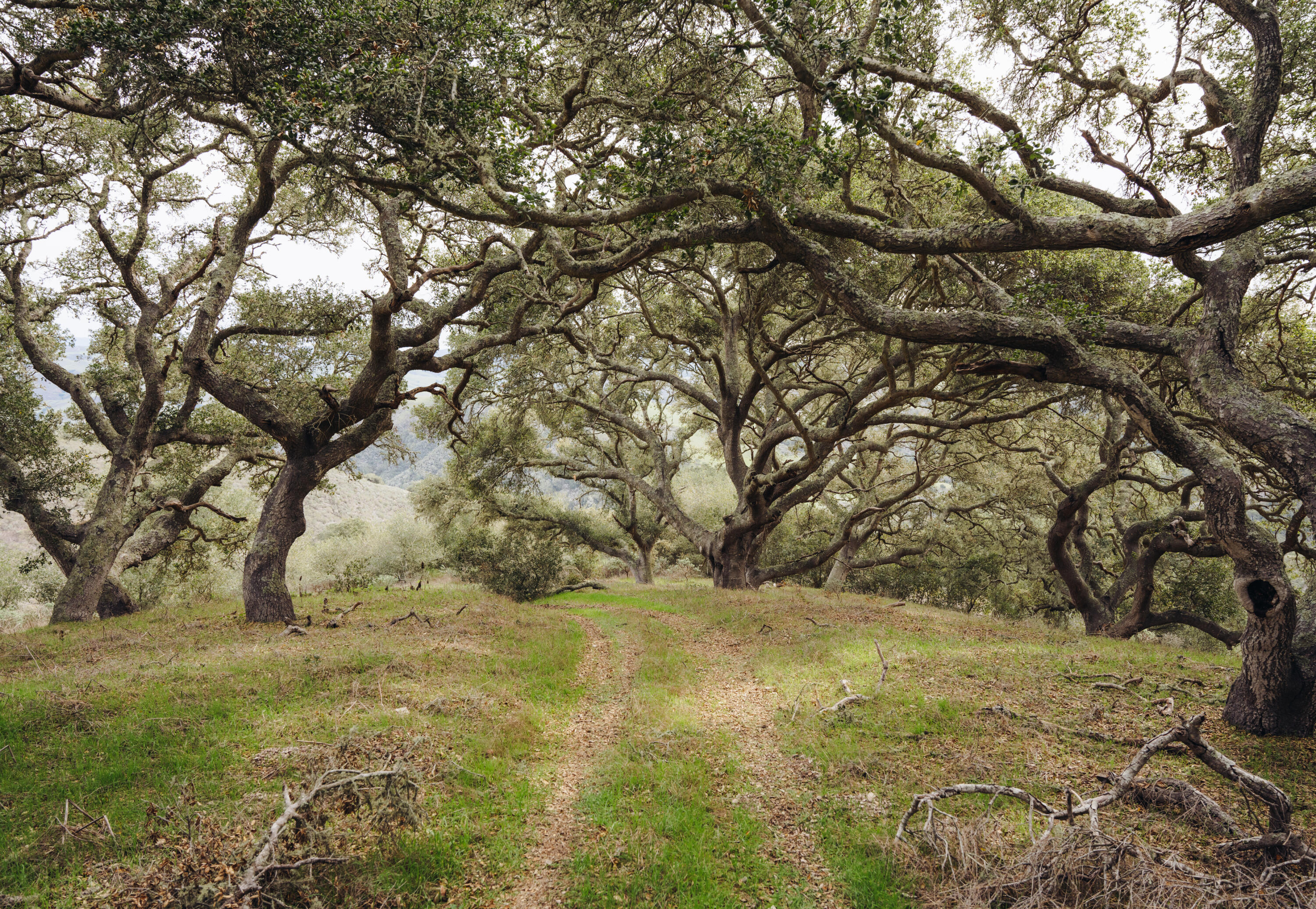 3625 Jalama Road