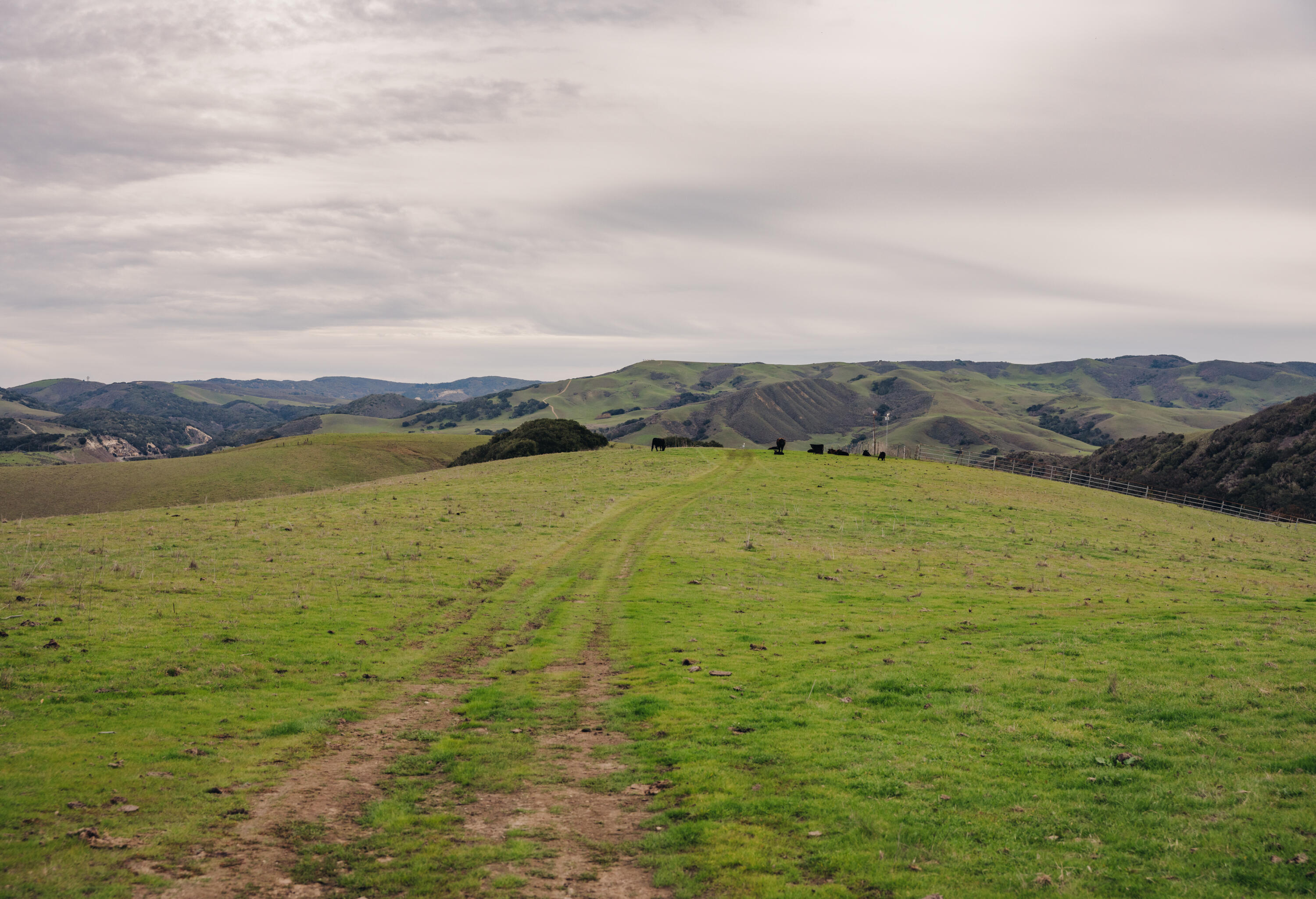 3625 Jalama Road