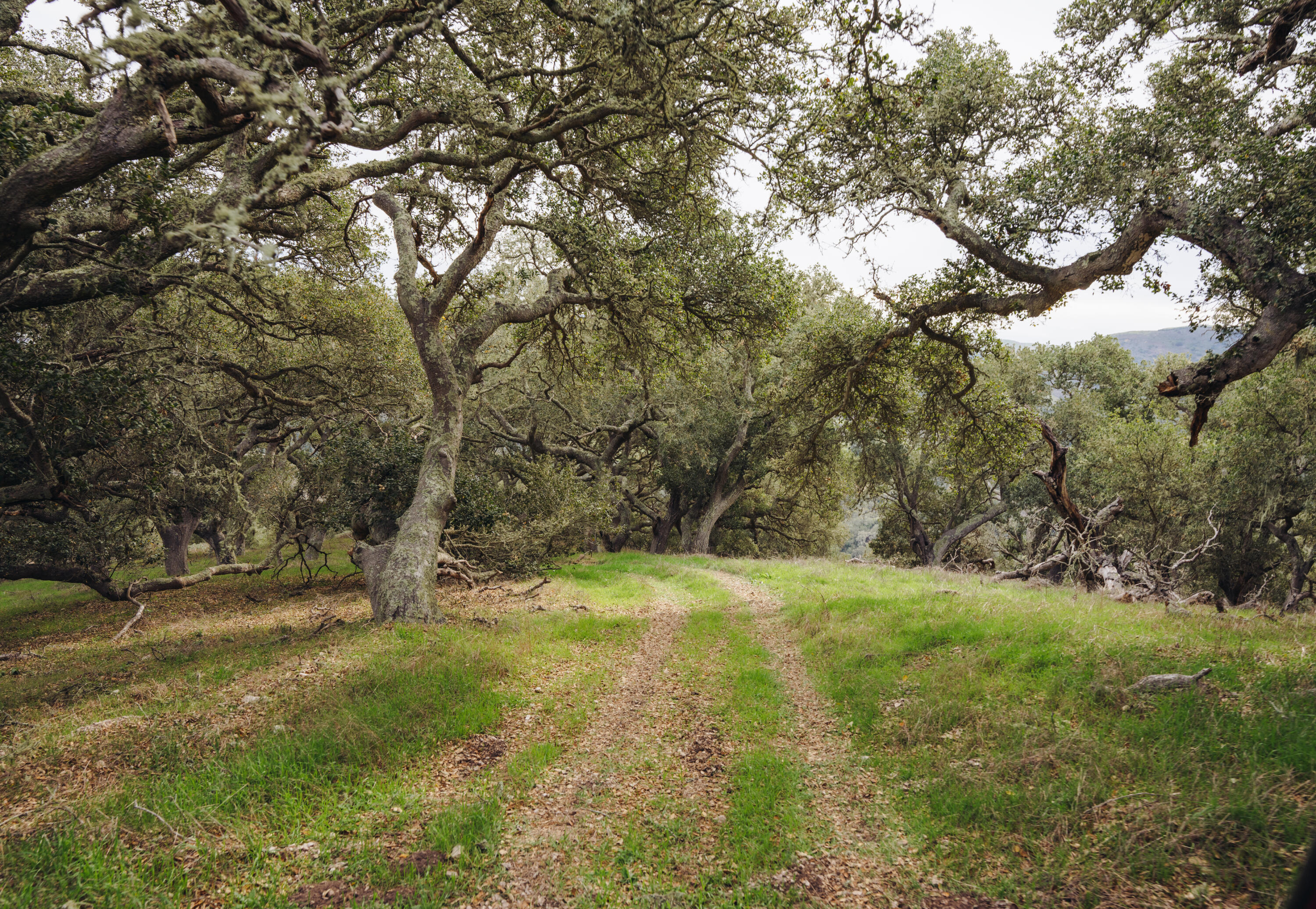 3625 Jalama Road