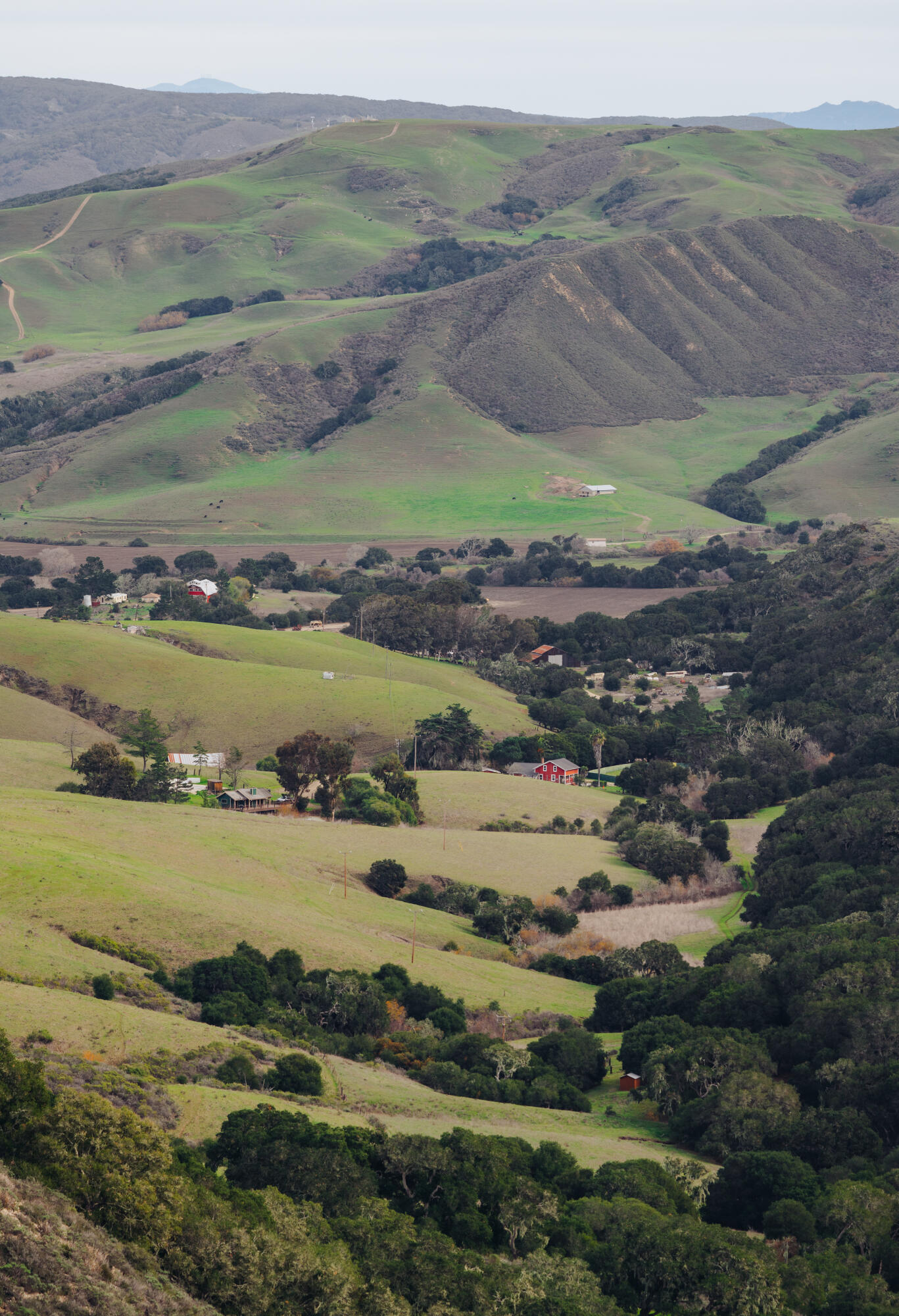 3625 Jalama Road