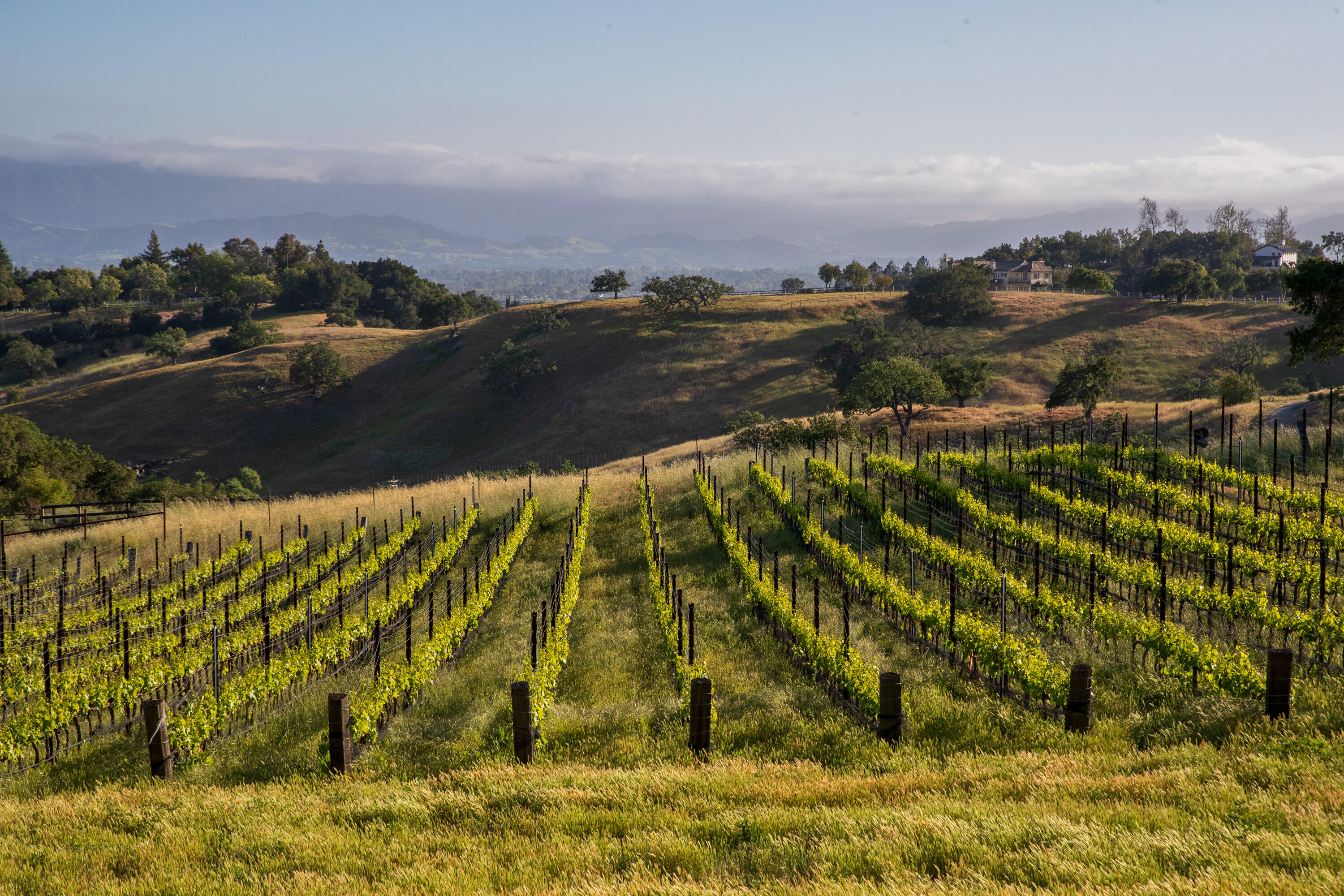 3001 Long Valley Road