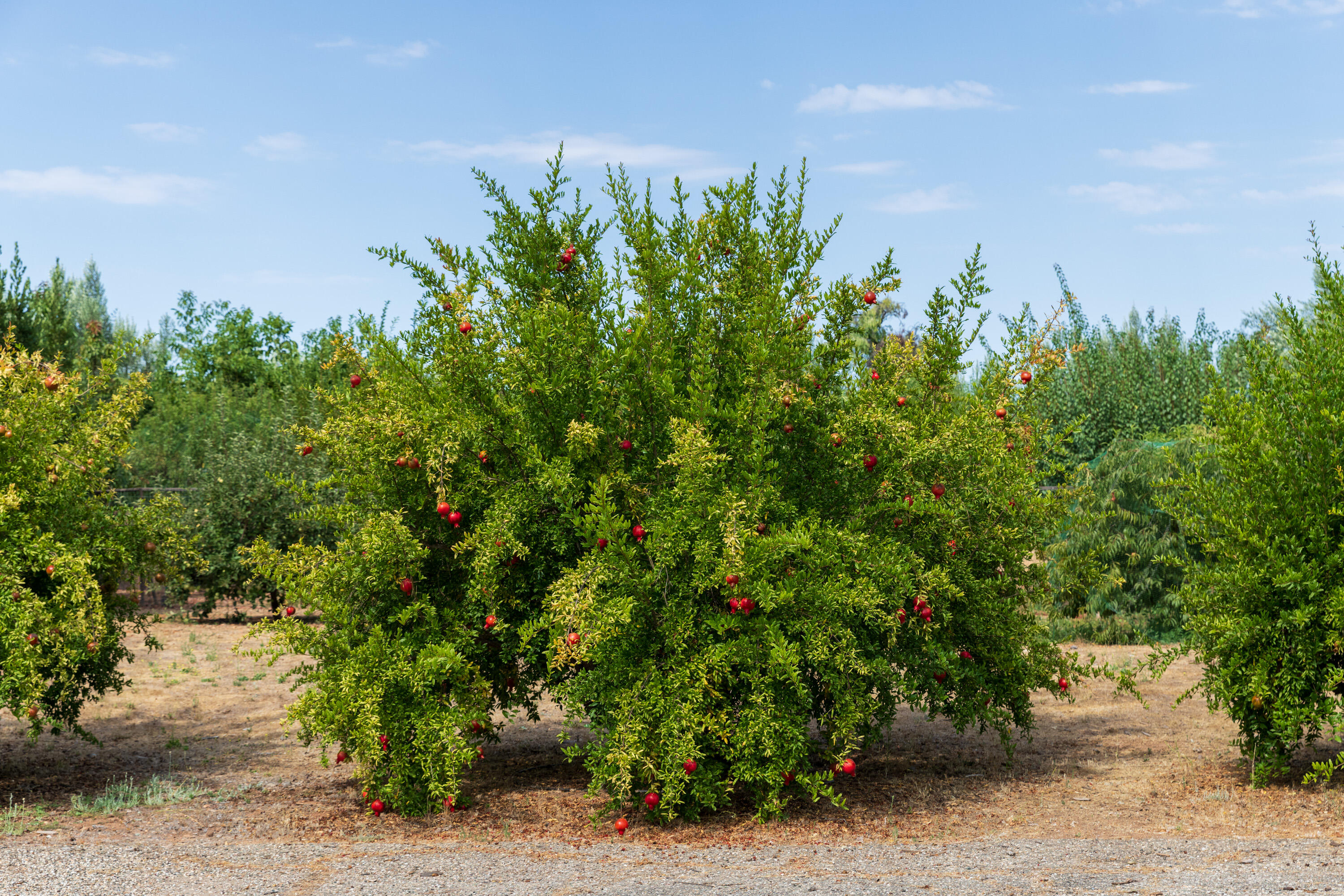 3001 Long Valley Road