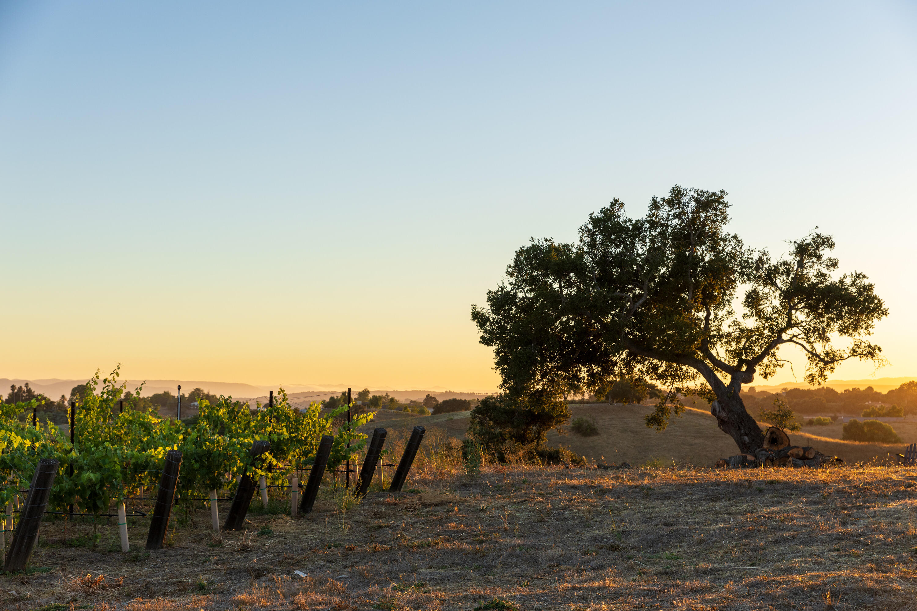 3001 Long Valley Road