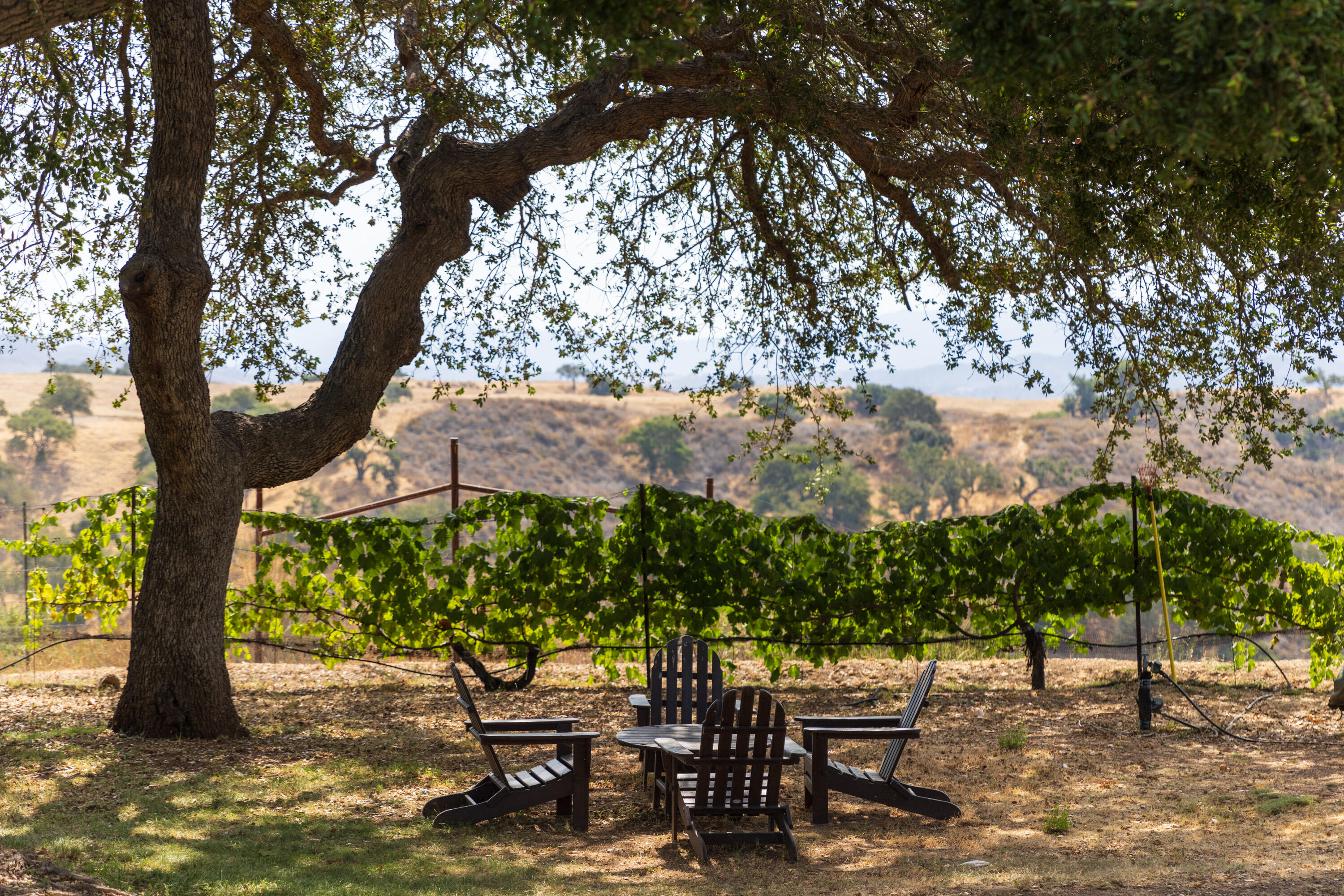 3001 Long Valley Road