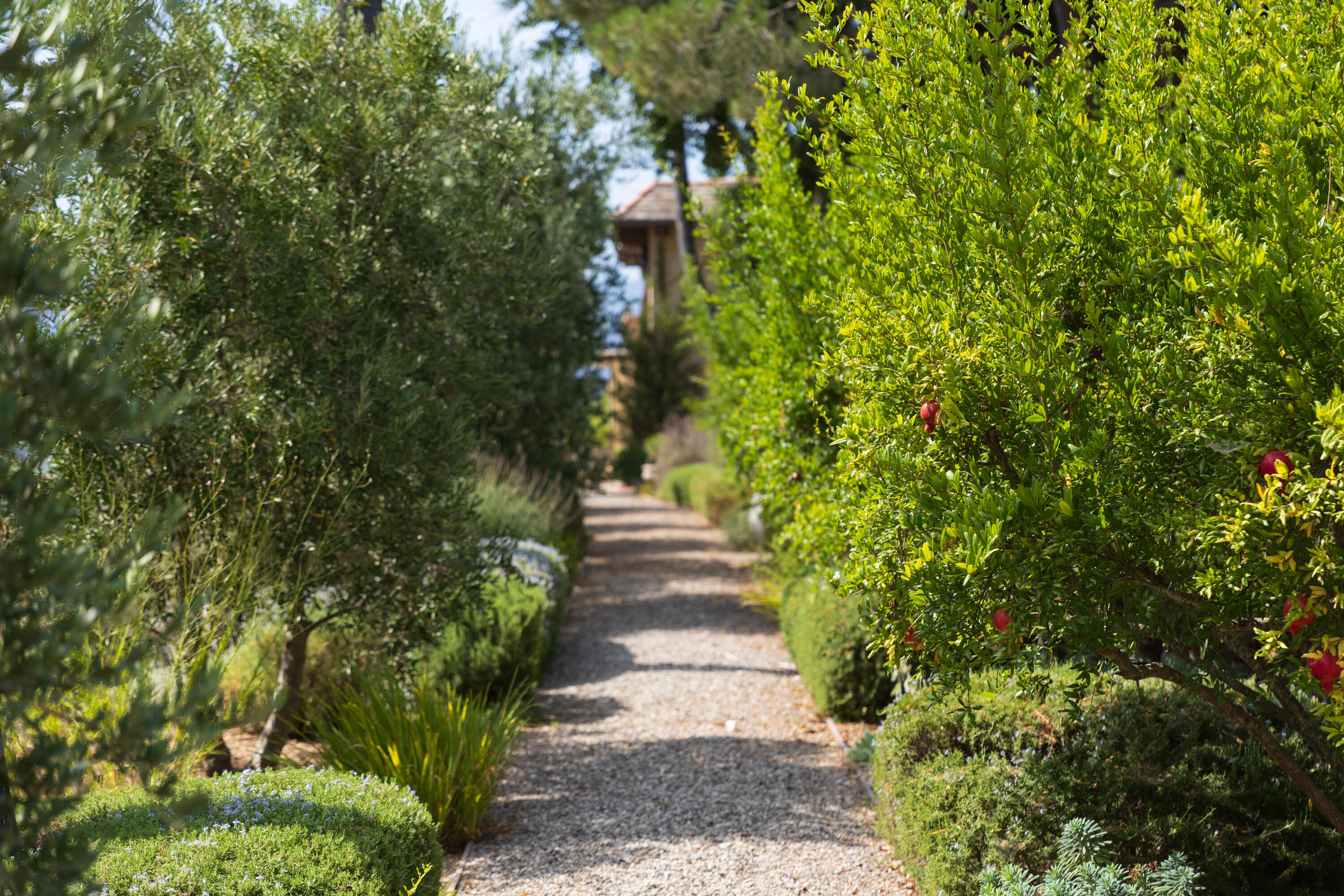 3001 Long Valley Road