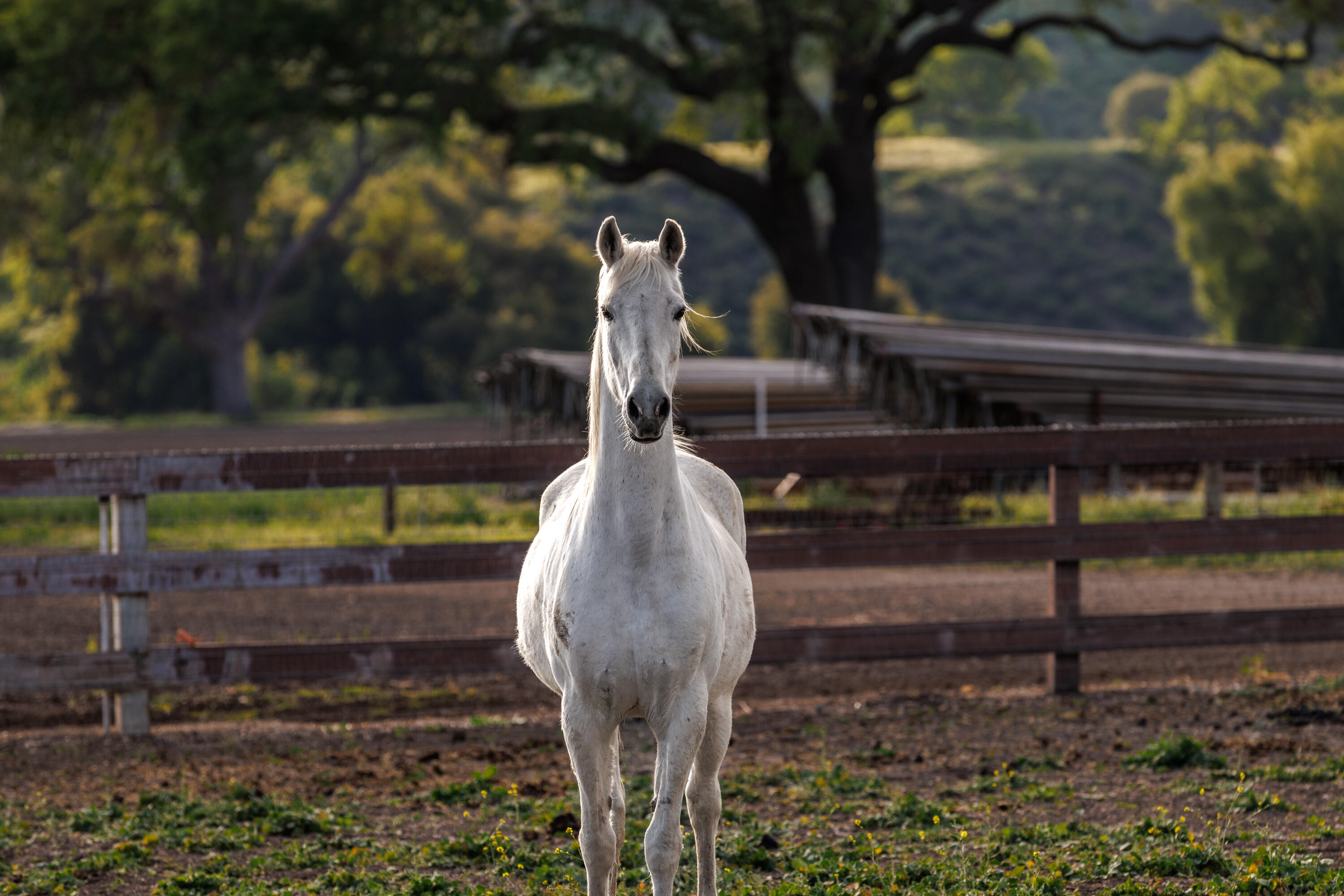 3325 Figueroa Mountain Road