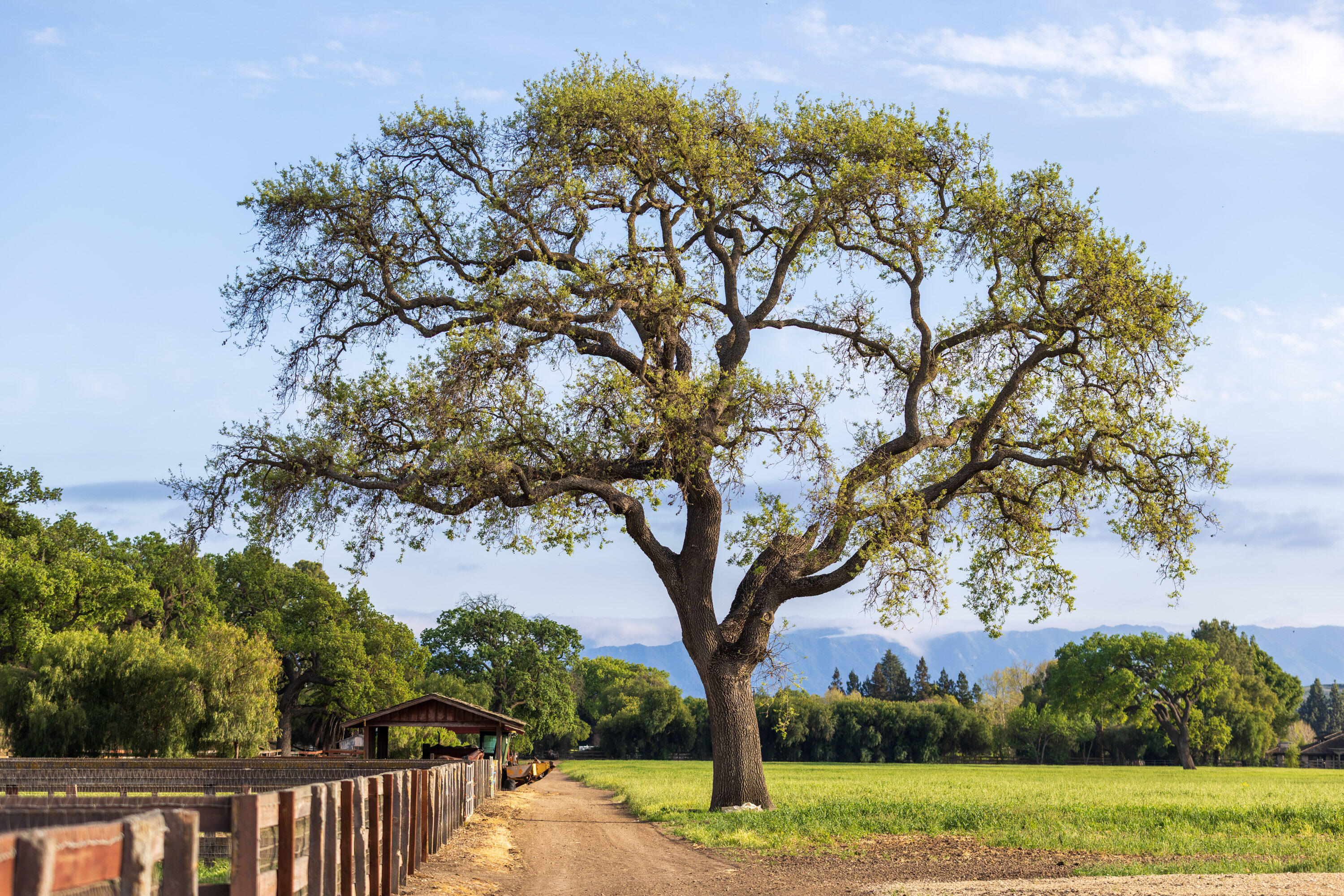 3325 Figueroa Mountain Road