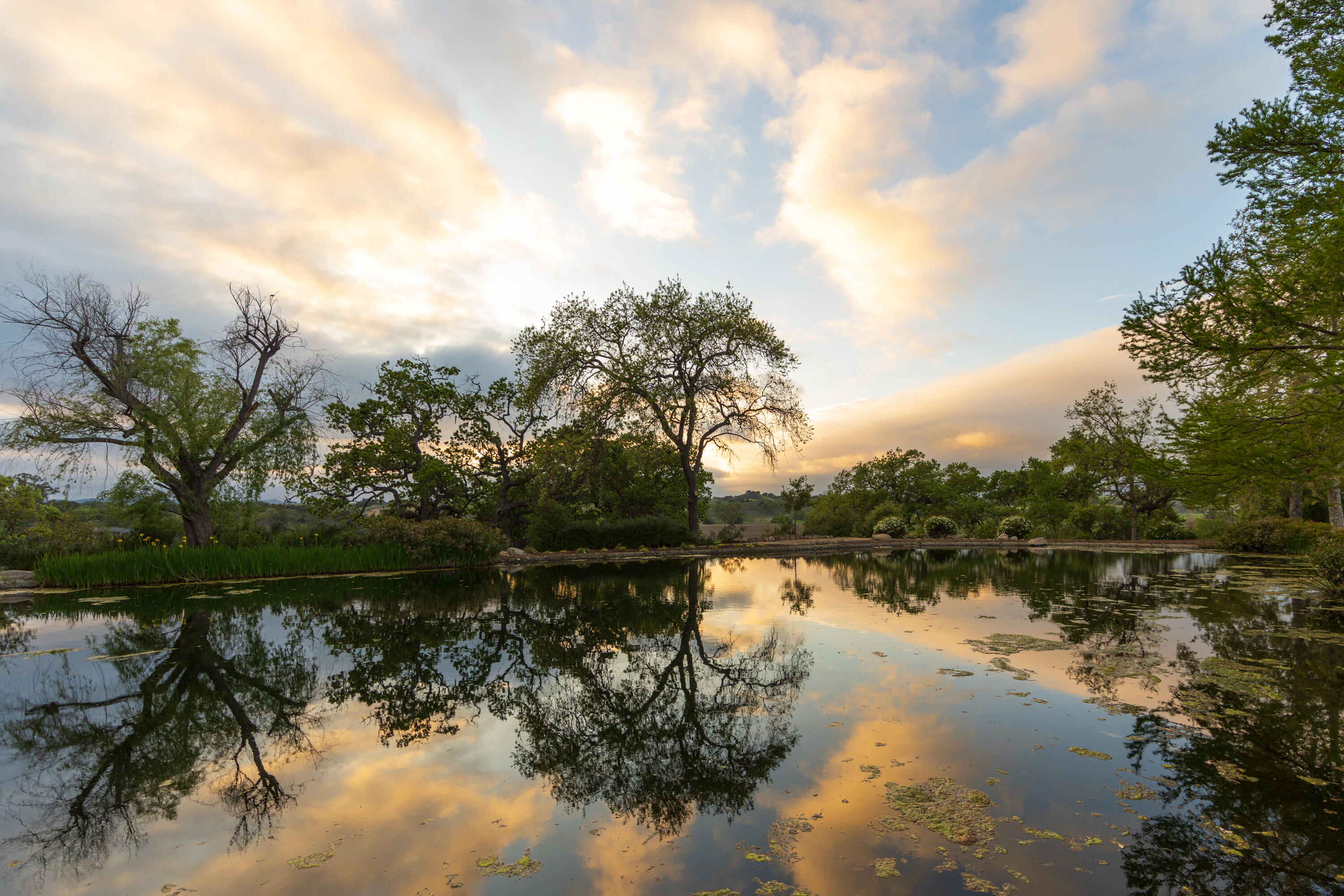 3325 Figueroa Mountain Road