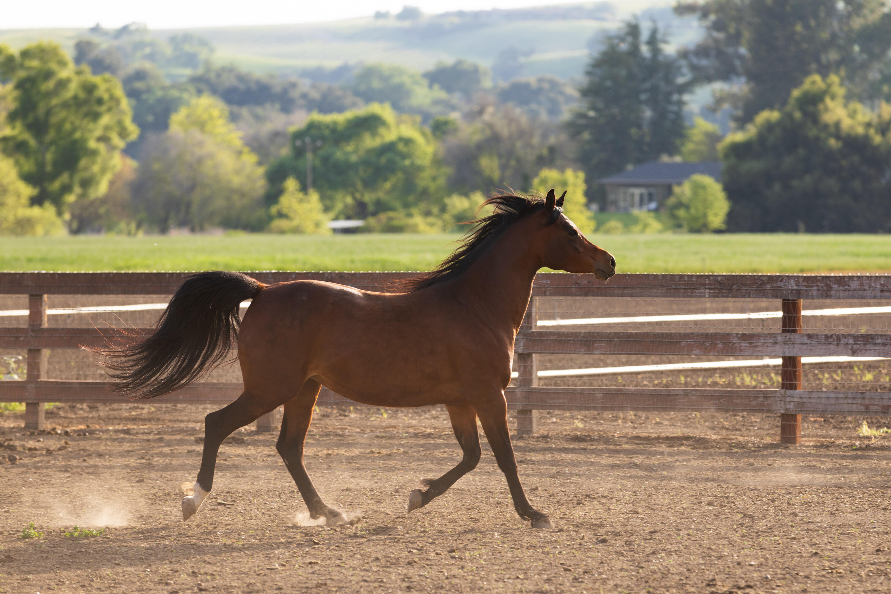 3325 Figueroa Mountain Road