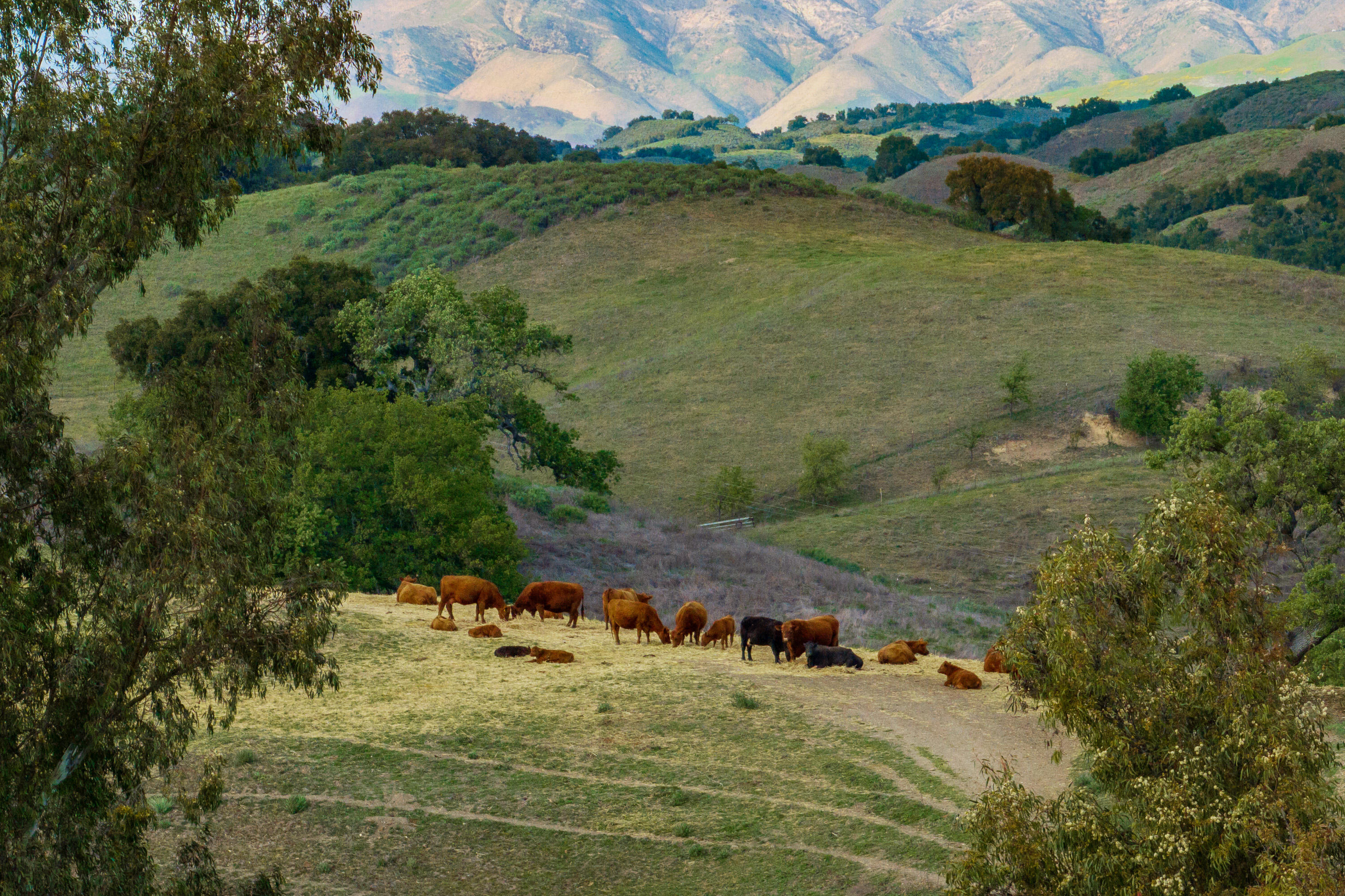 3325 Figueroa Mountain Road