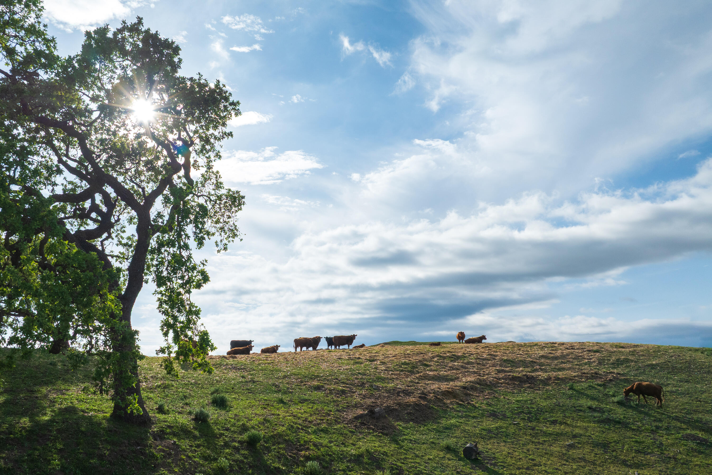 3325 Figueroa Mountain Road