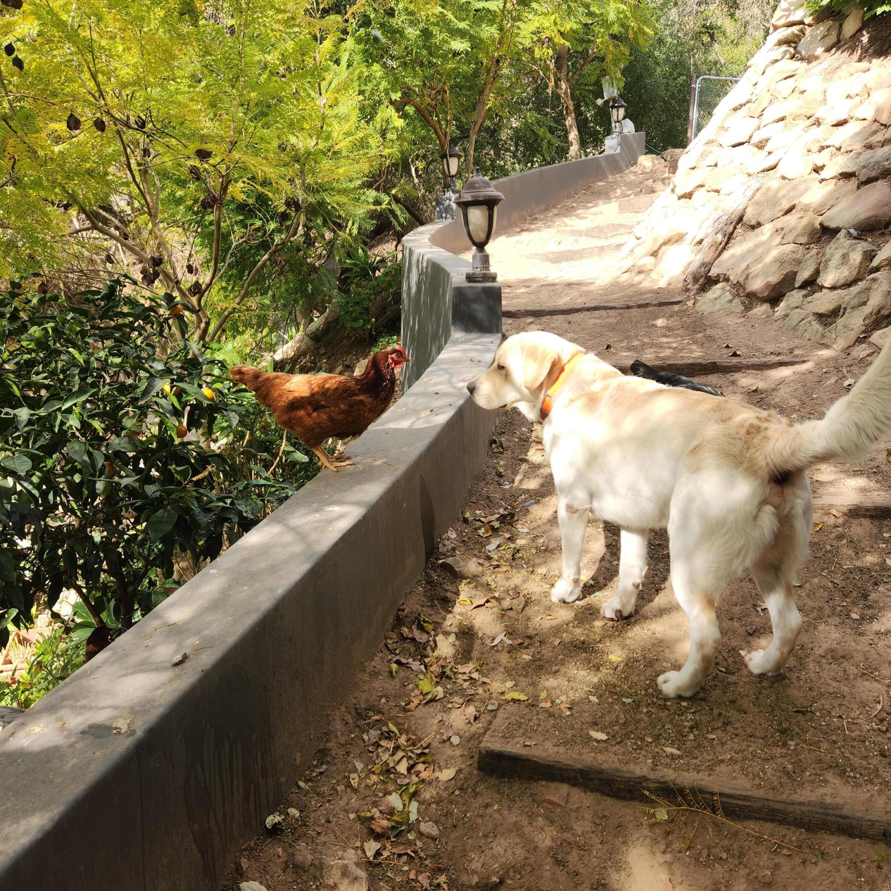 330 E Mountain Drive