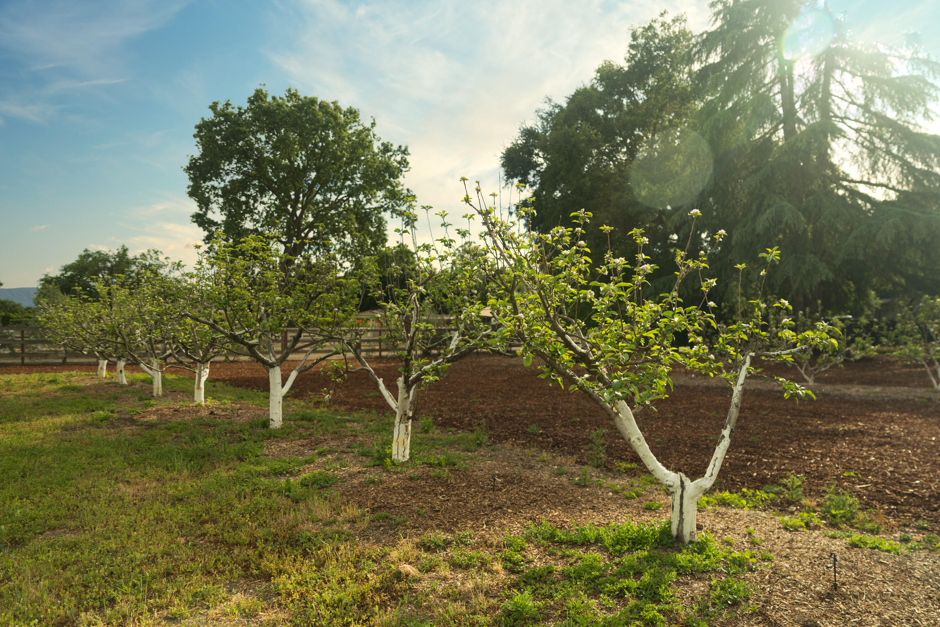 2275 Alamo Pintado Road