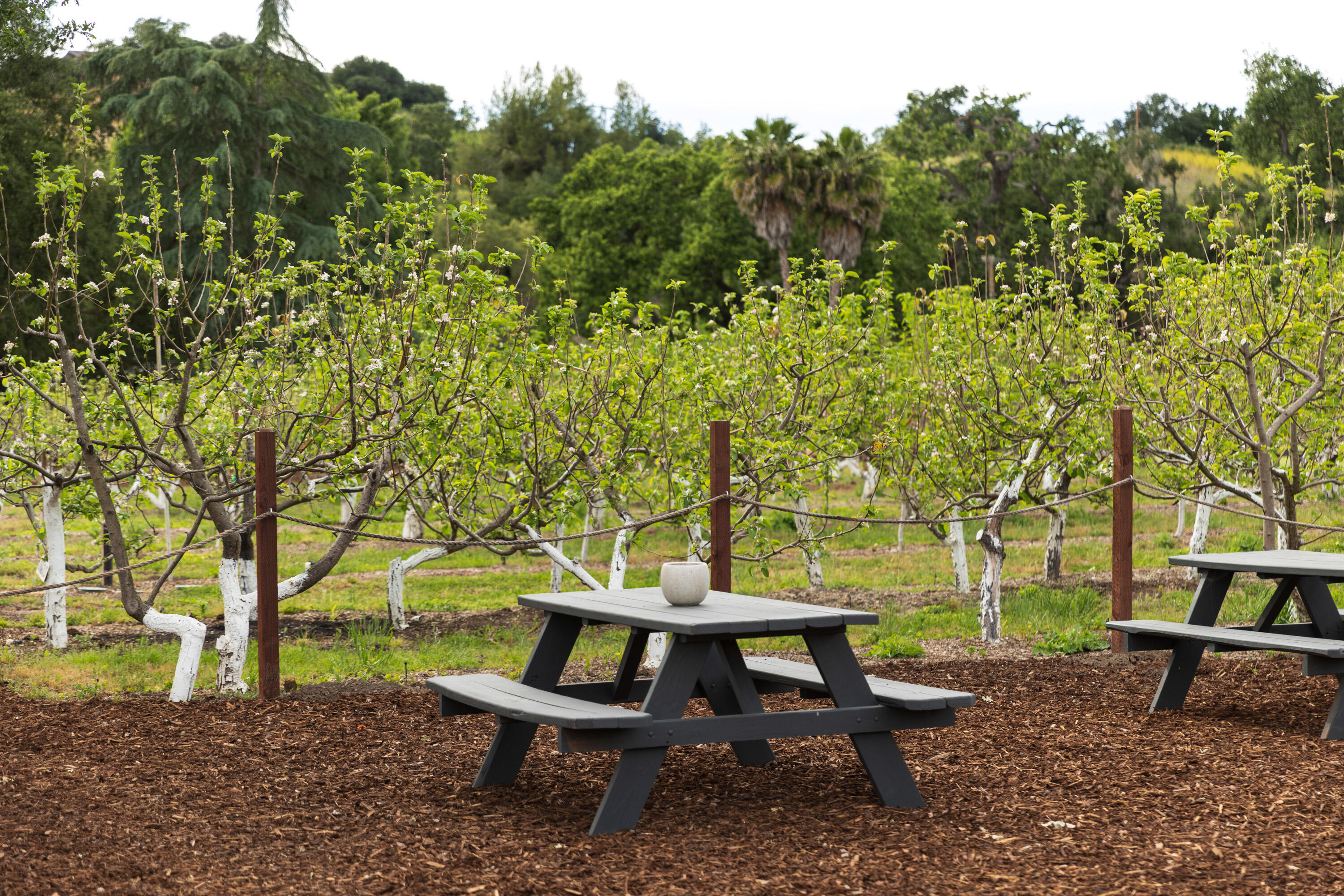 2275 Alamo Pintado Road