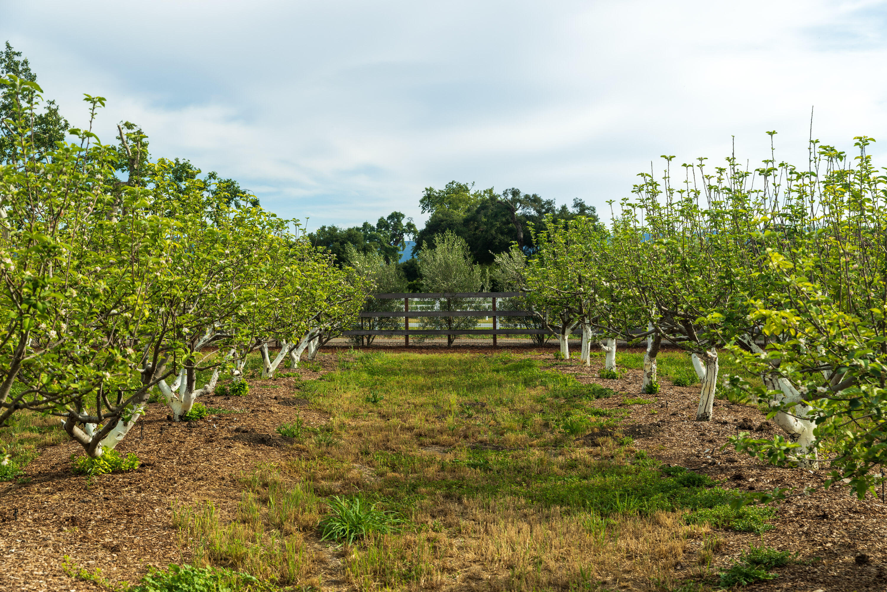 2275 Alamo Pintado Road