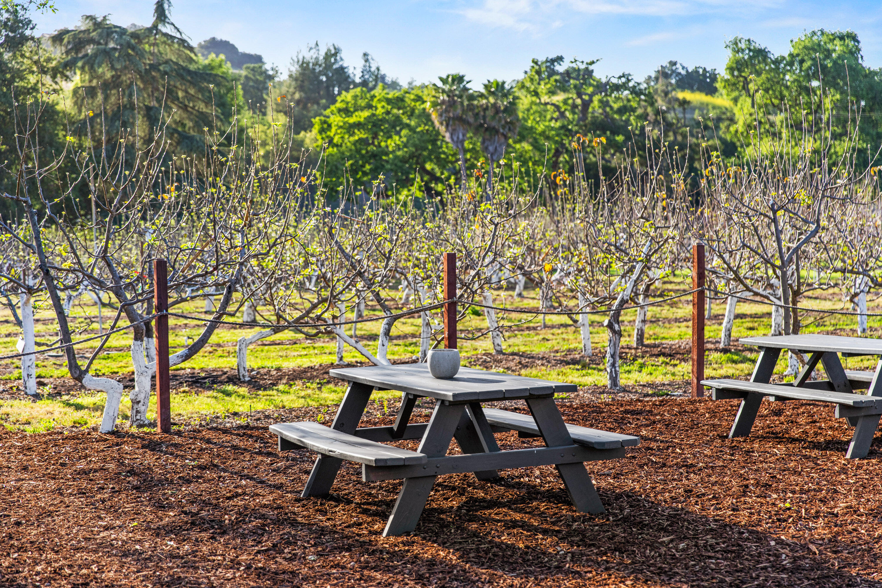 2275 Alamo Pintado Road