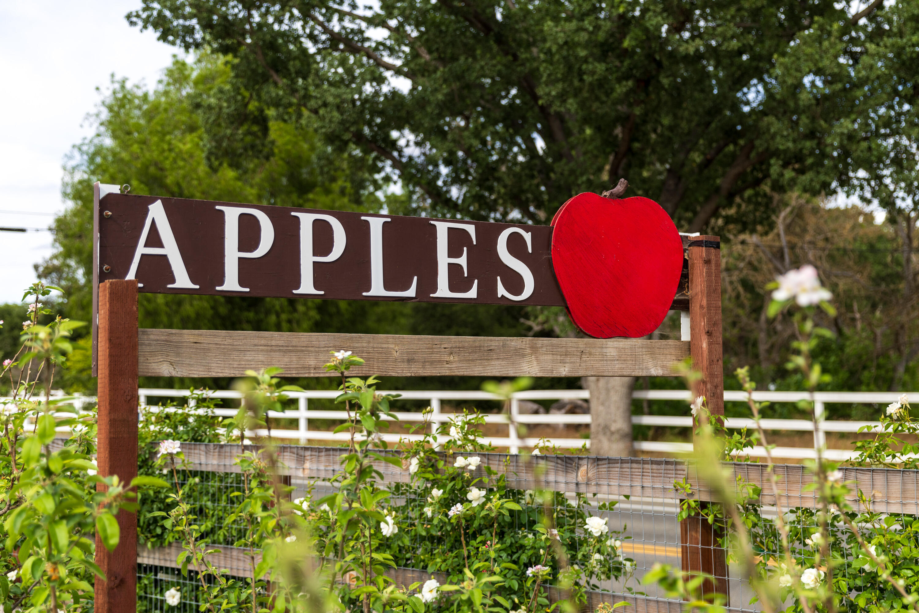 2275 Alamo Pintado Road