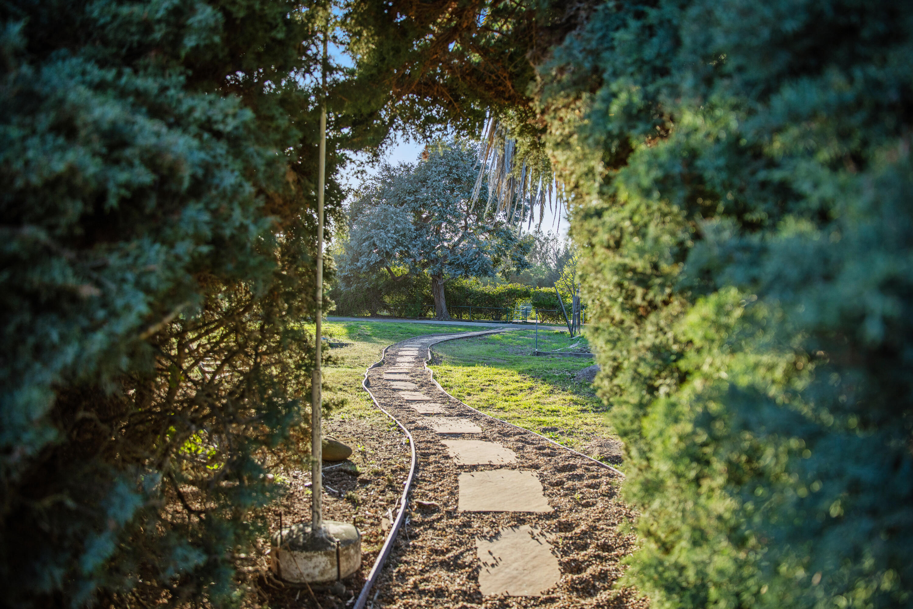 1270 Dove Meadow Road