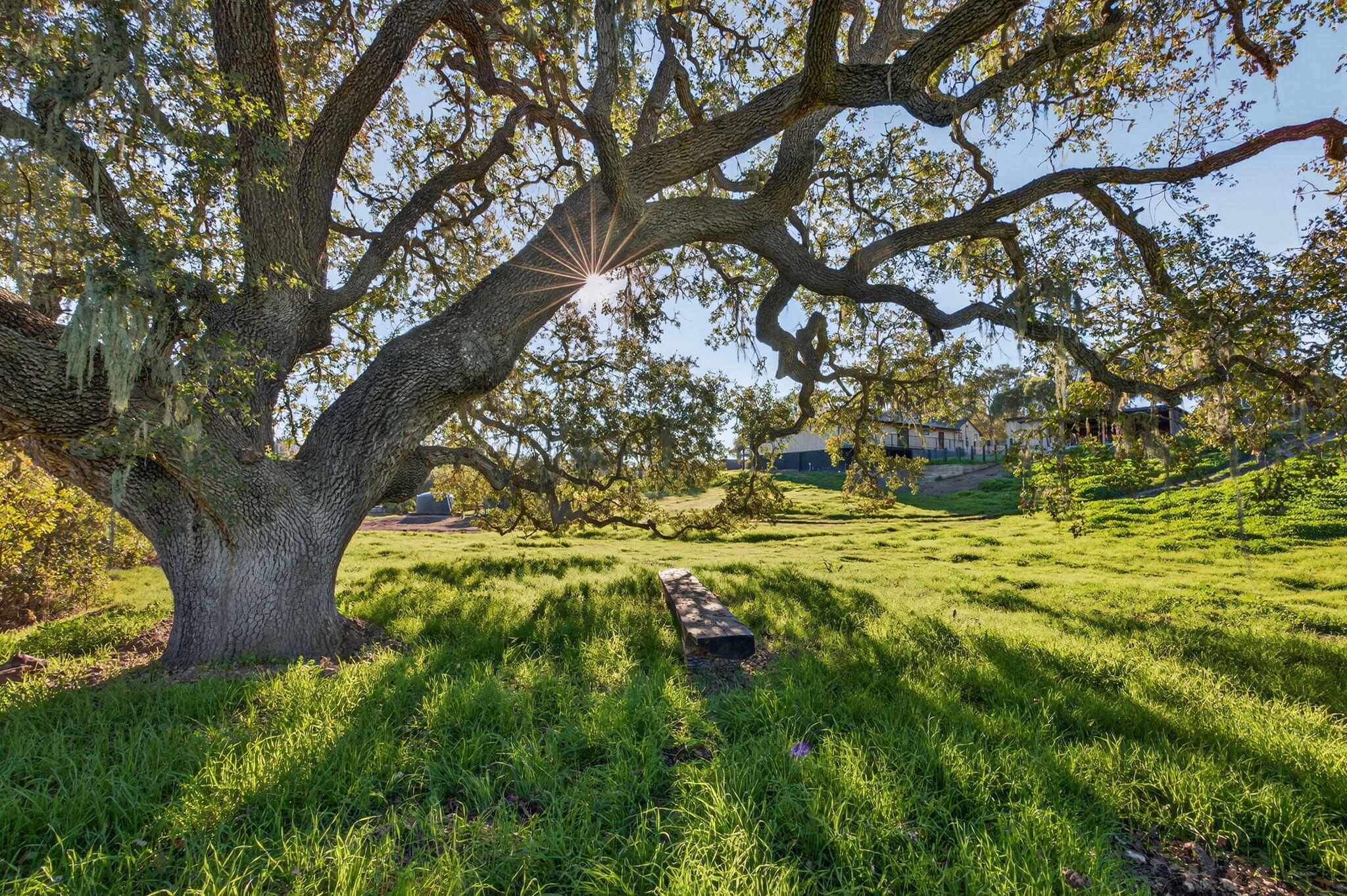 970 College Canyon Road