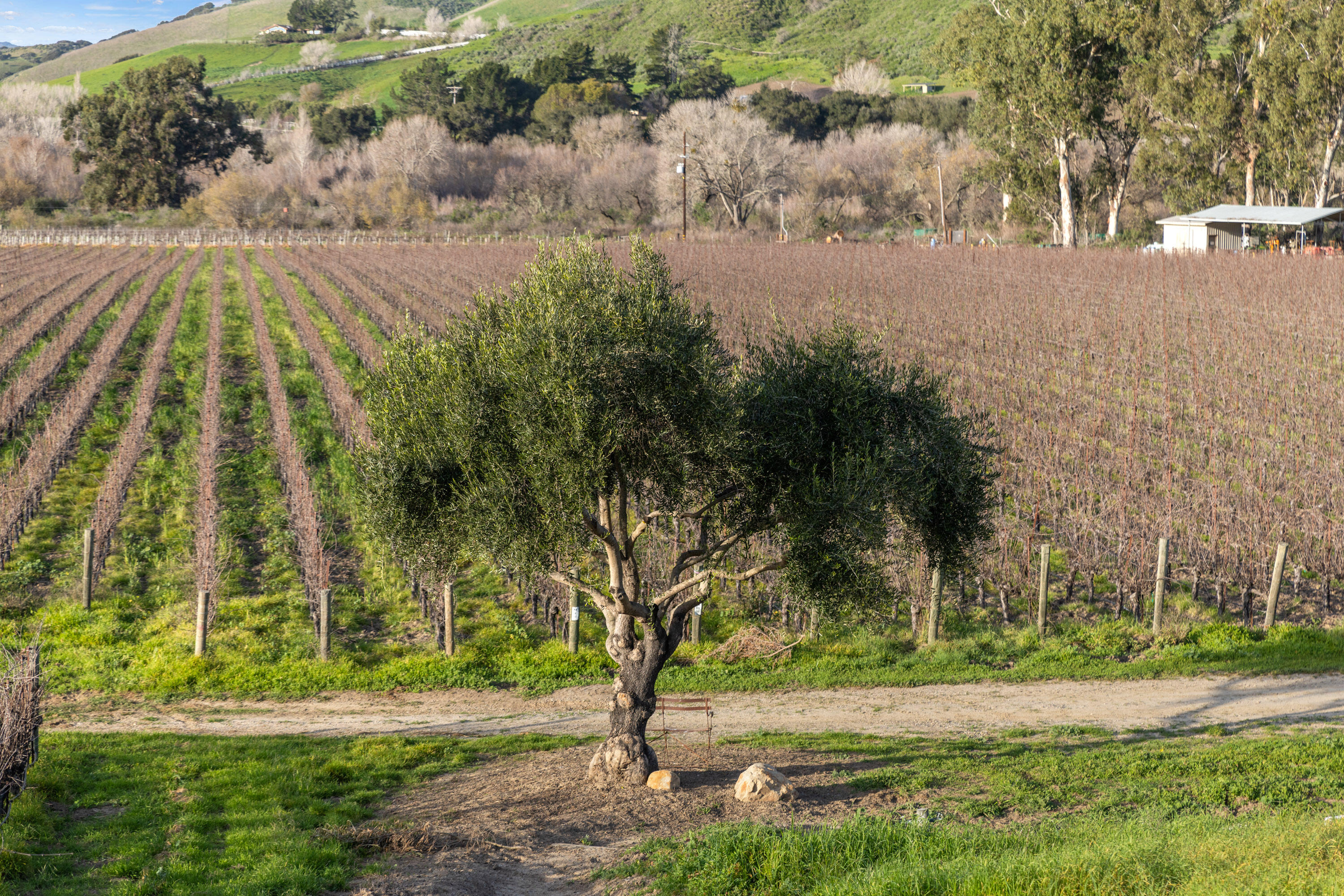 6855 Santa Rosa Road