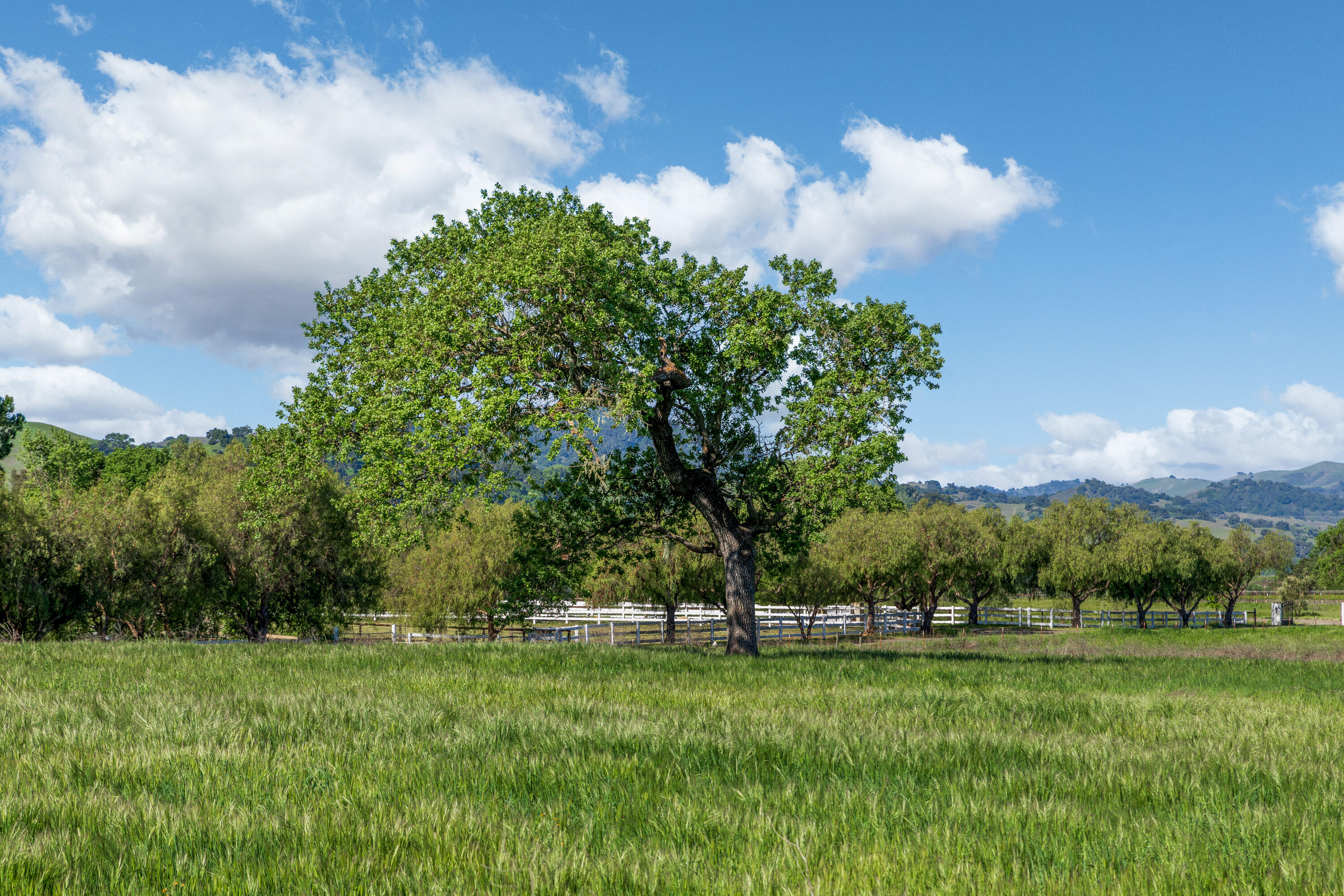 0 White Oak Road