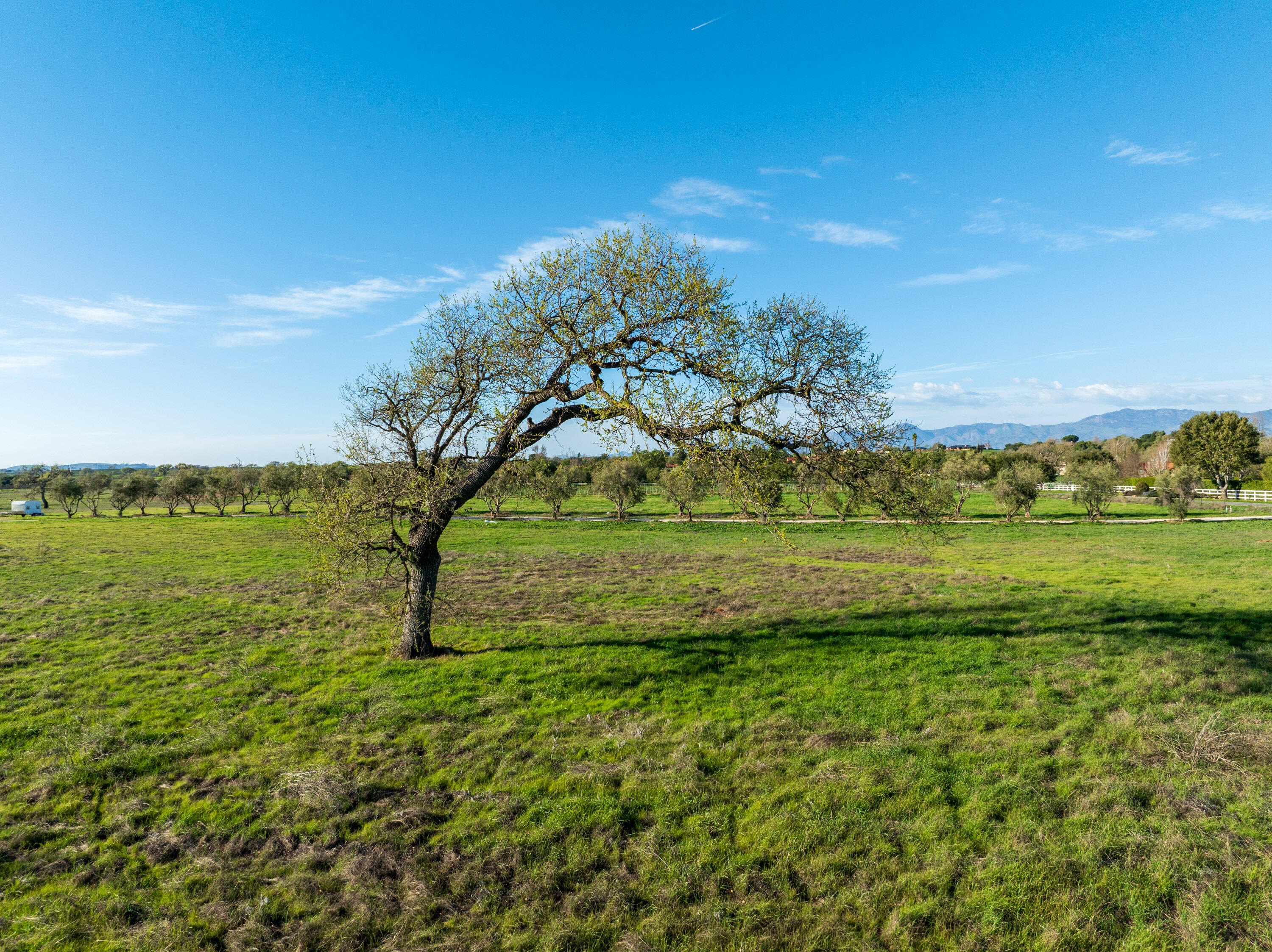 0 White Oak Road