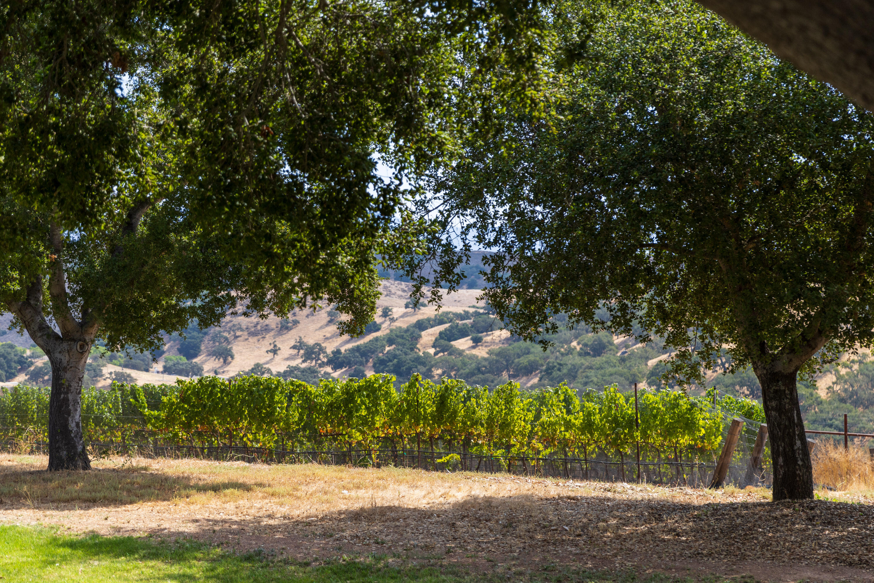 3001 Long Valley Road