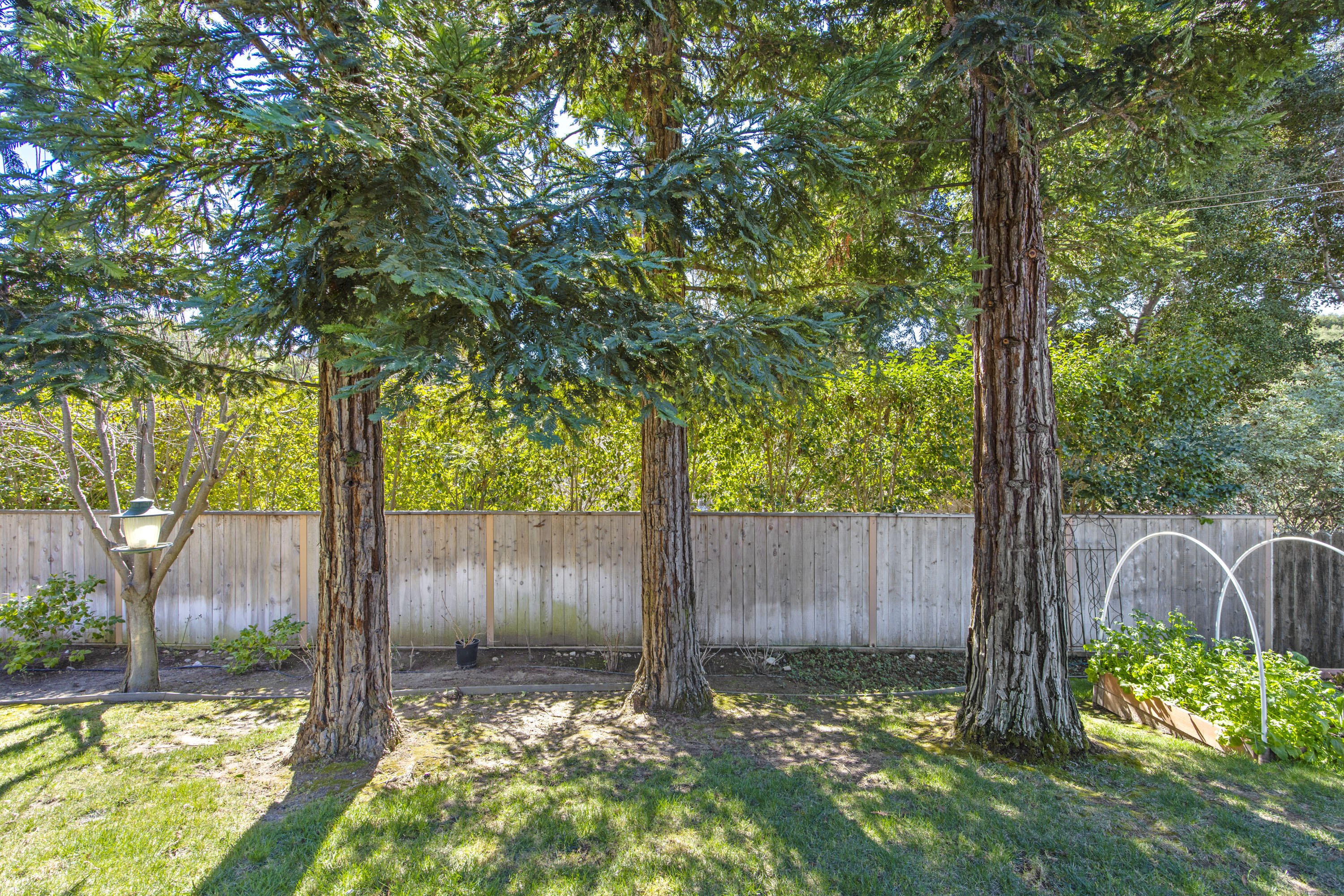 922 College Canyon Road