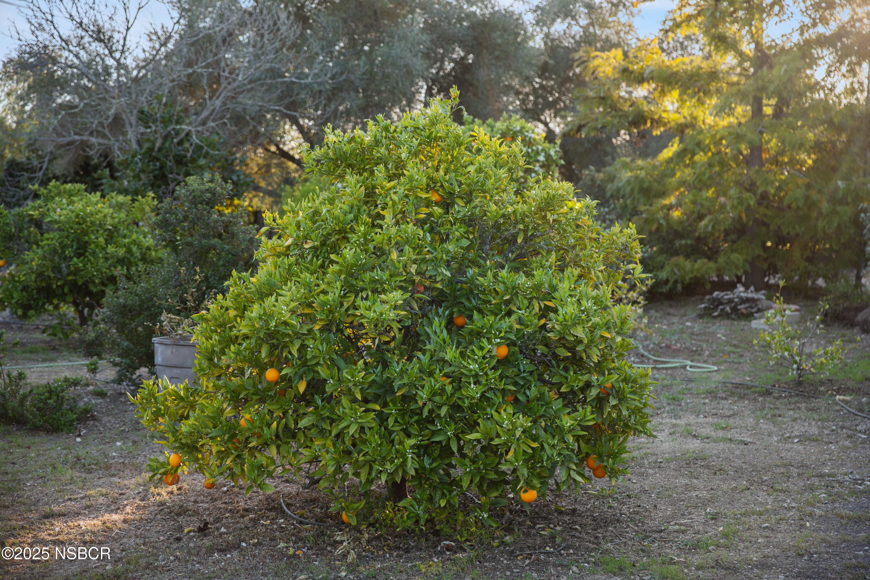 1270 Dove Meadow Road