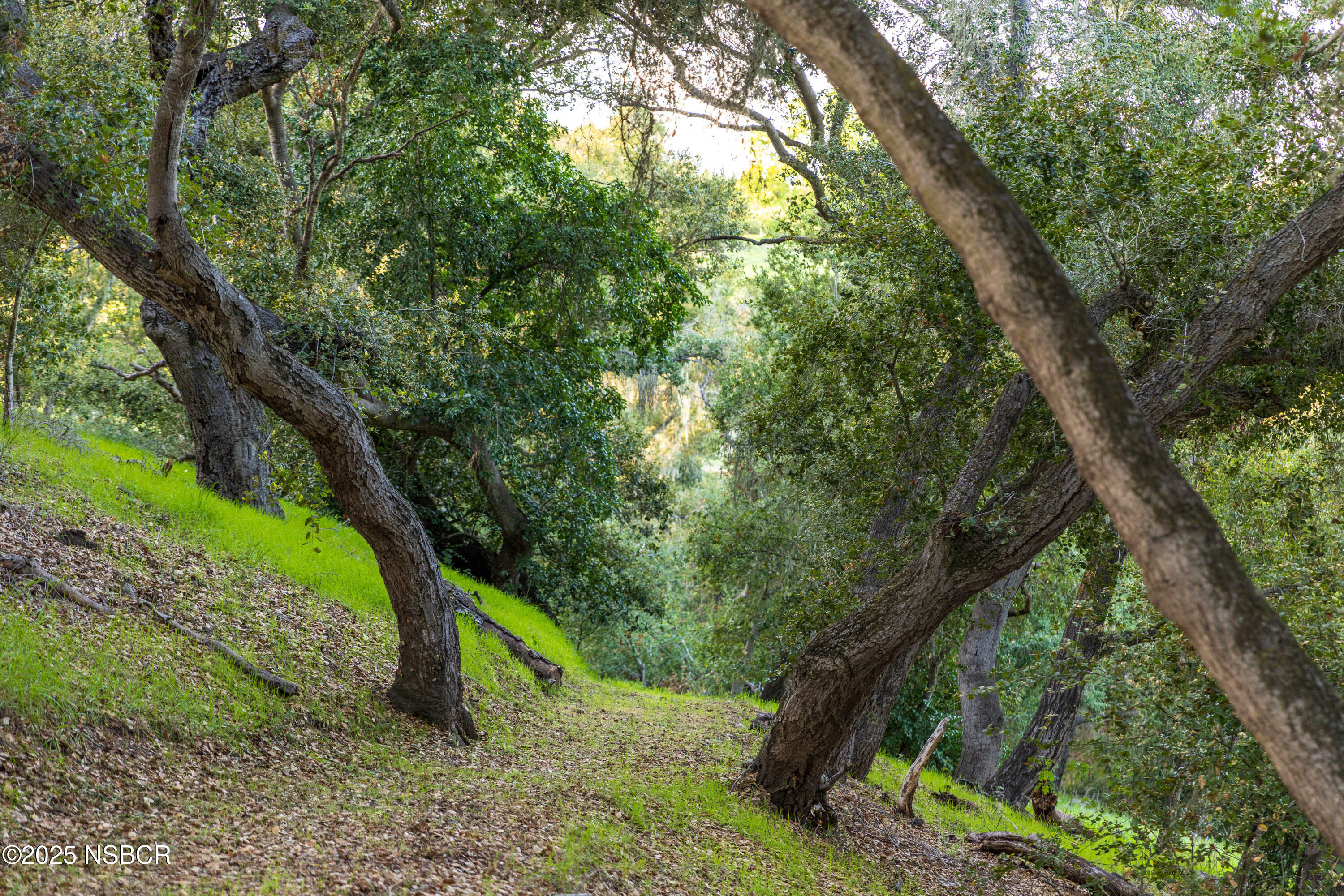 1270 Dove Meadow Road