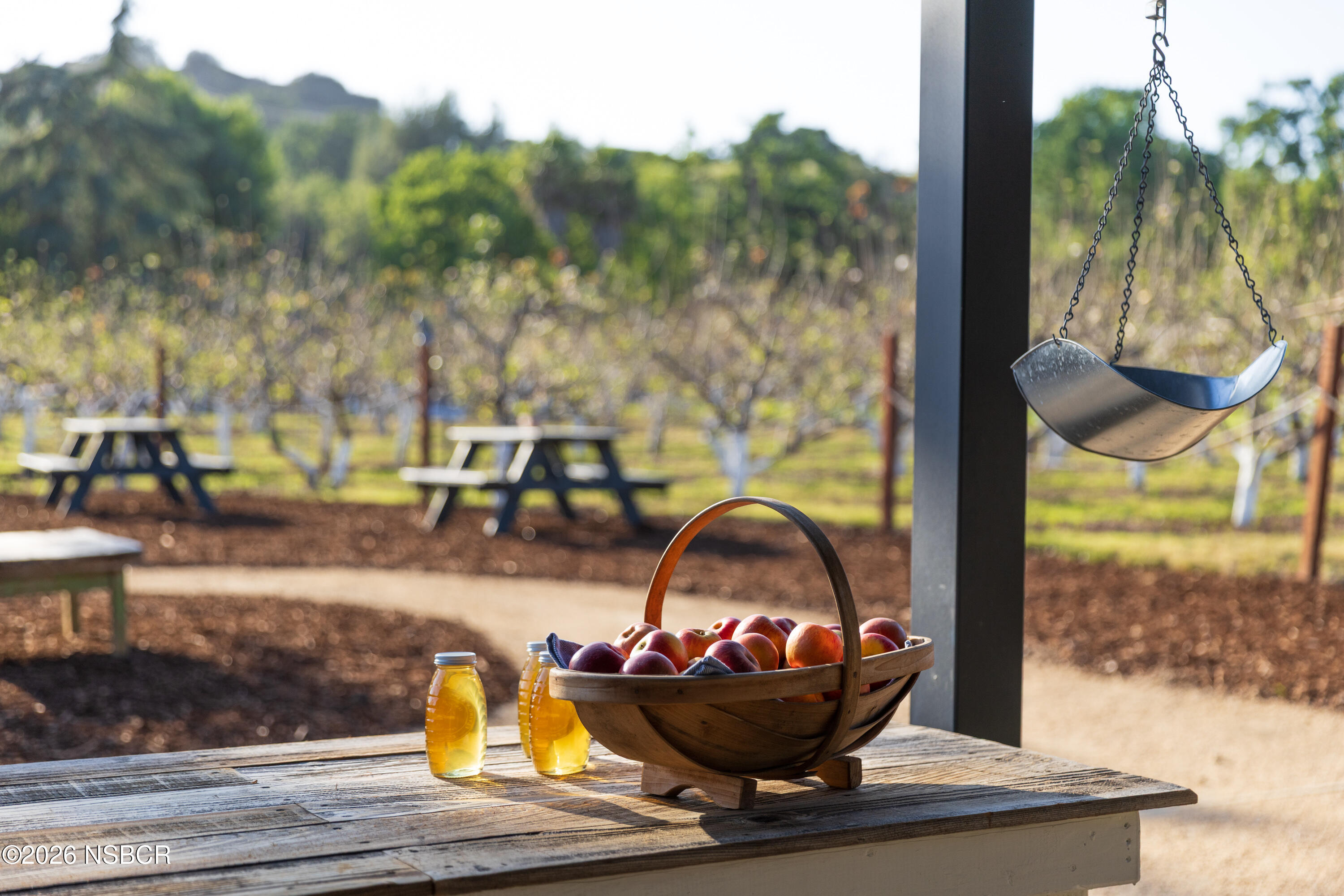 2275 Alamo Pintado Road