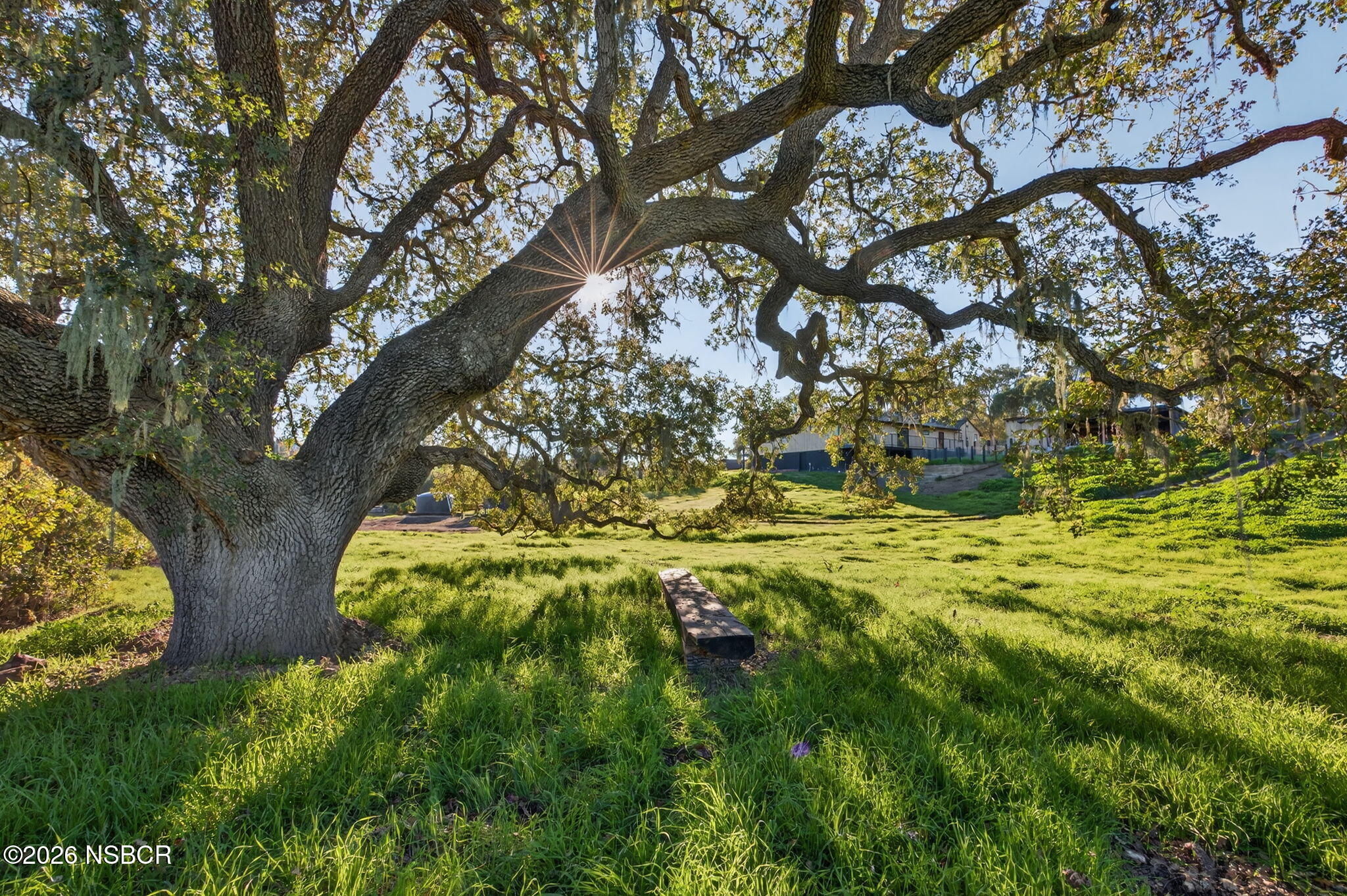 970 College Canyon Road