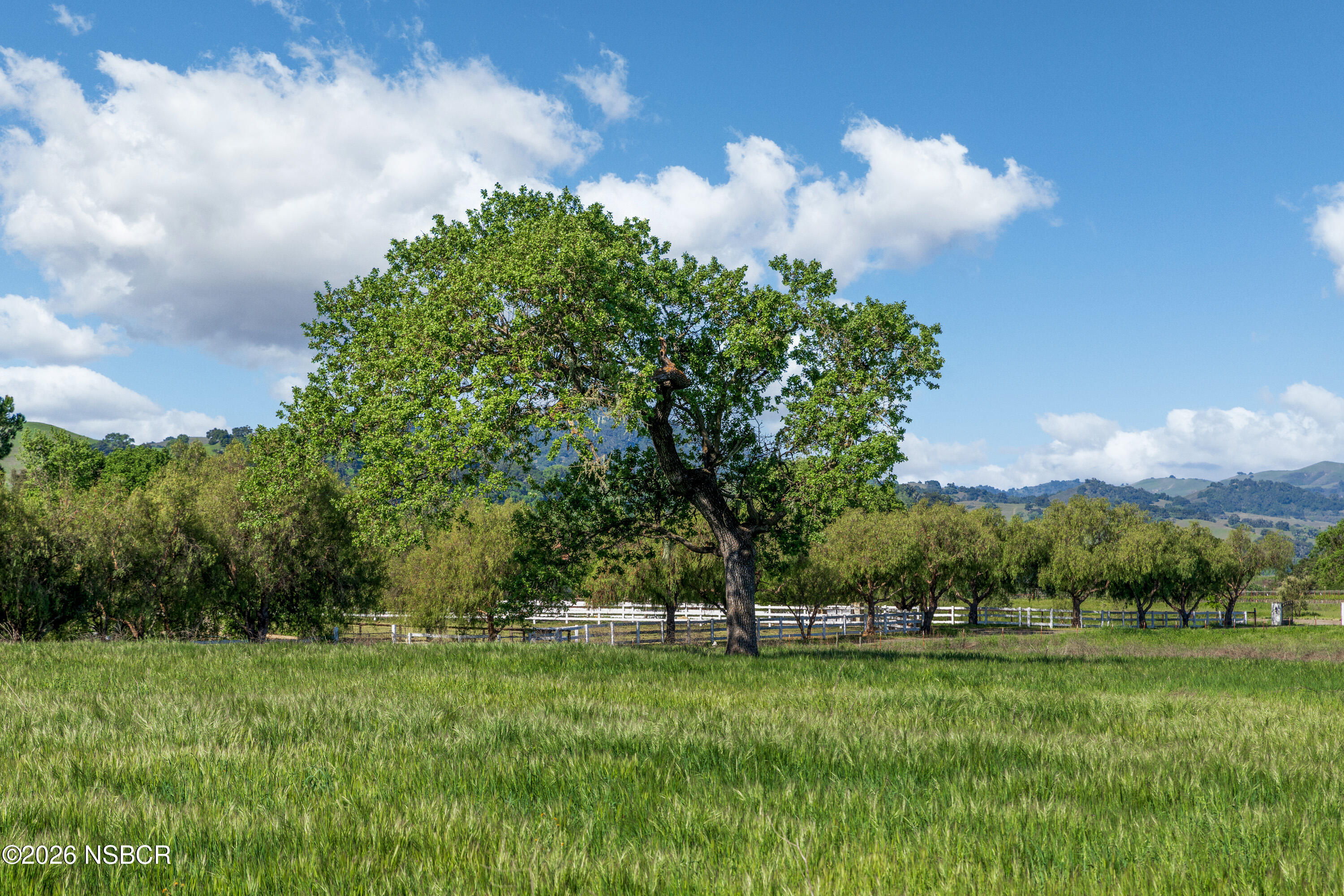 White Oak Road