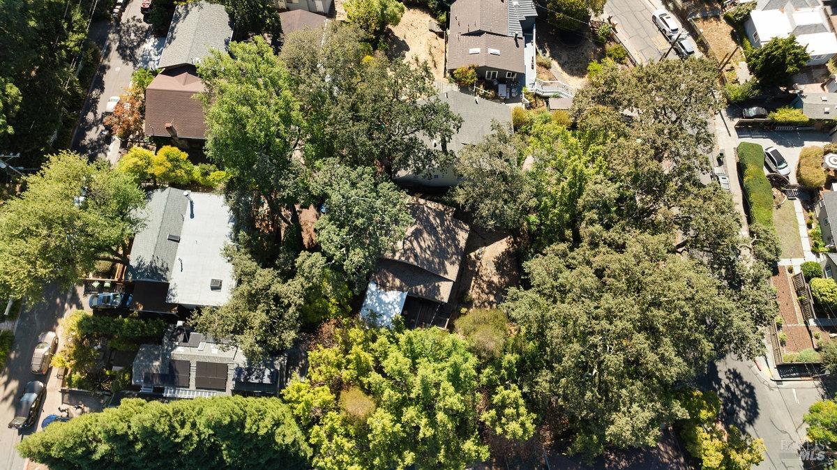 1566 San Anselmo Ave