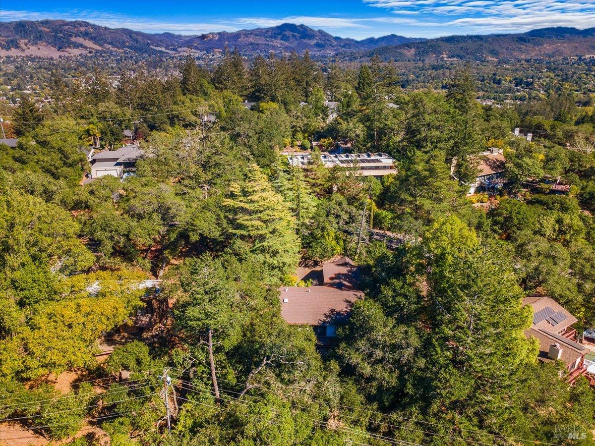 3611 Alta Vista Avenue