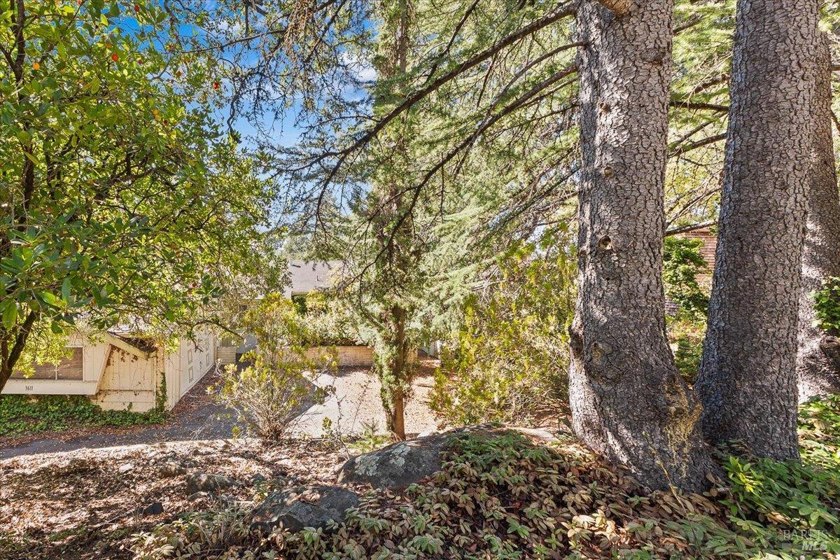 3611 Alta Vista Avenue