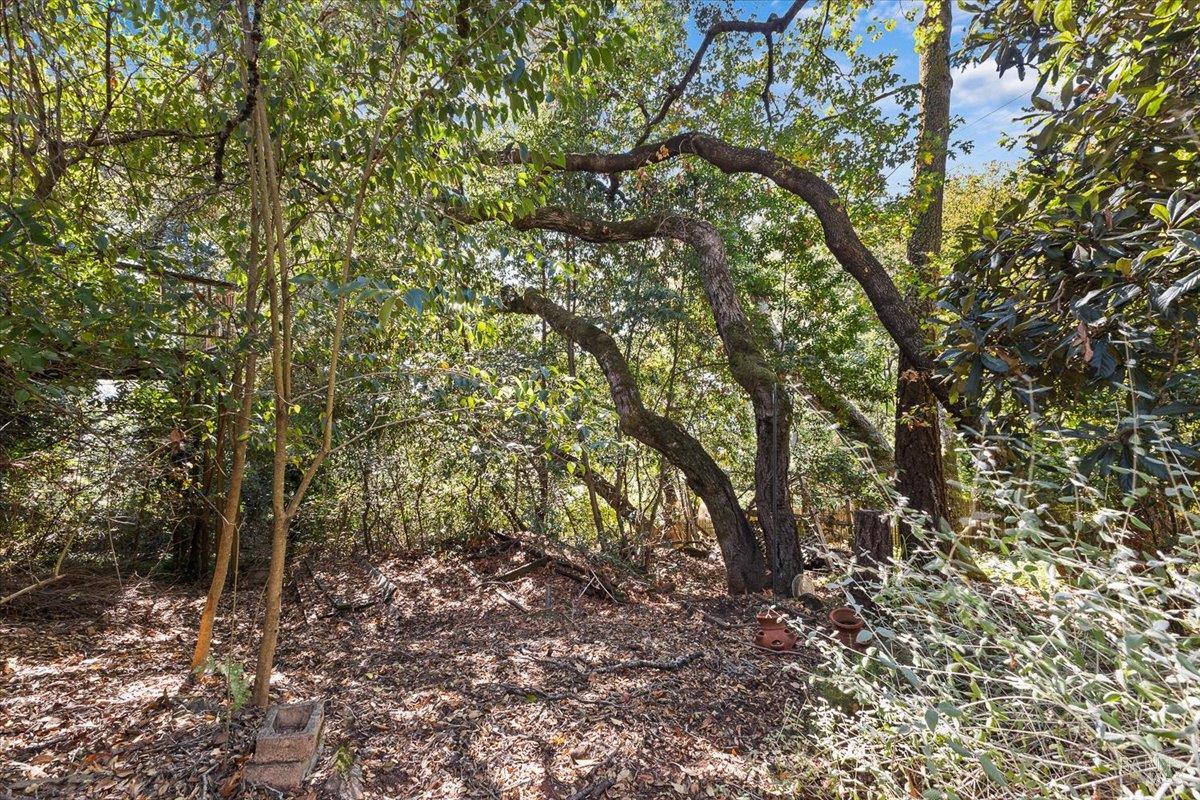 3611 Alta Vista Avenue