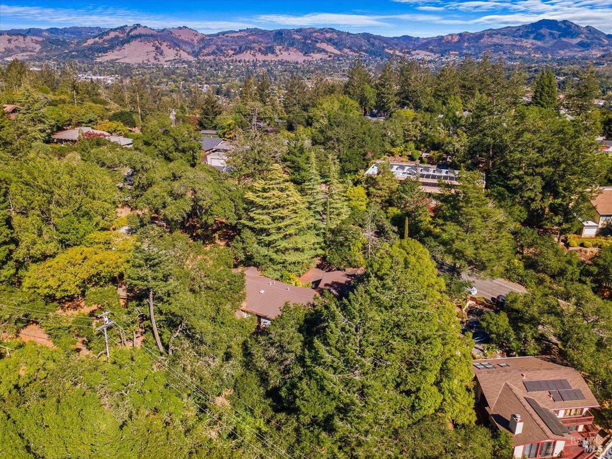 3611 Alta Vista Avenue