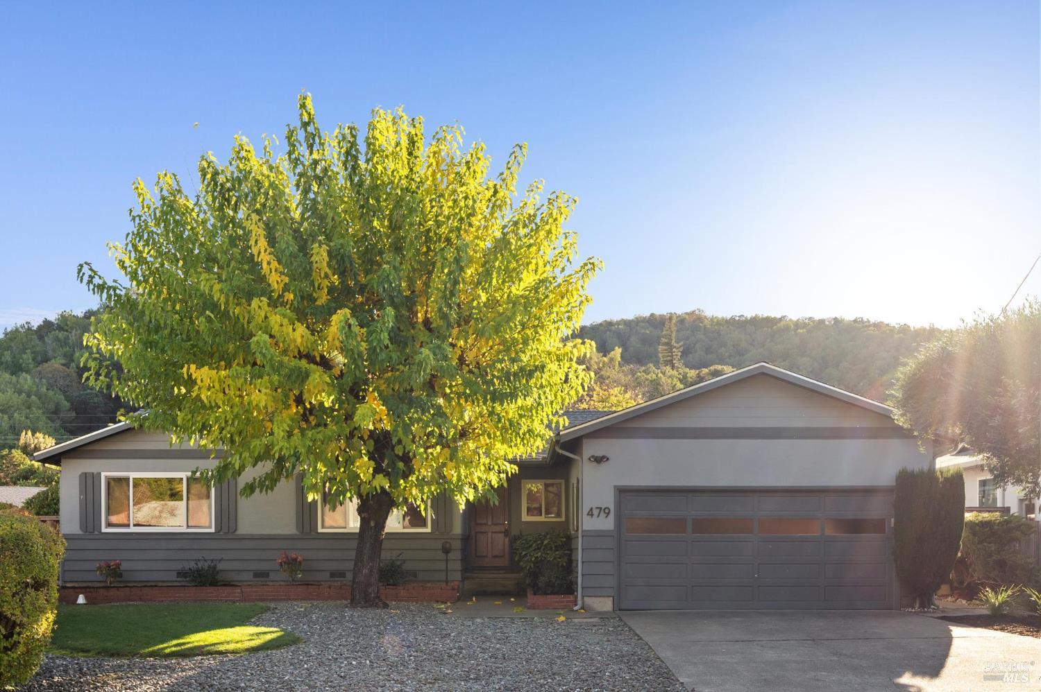 479 Calle De La Mesa