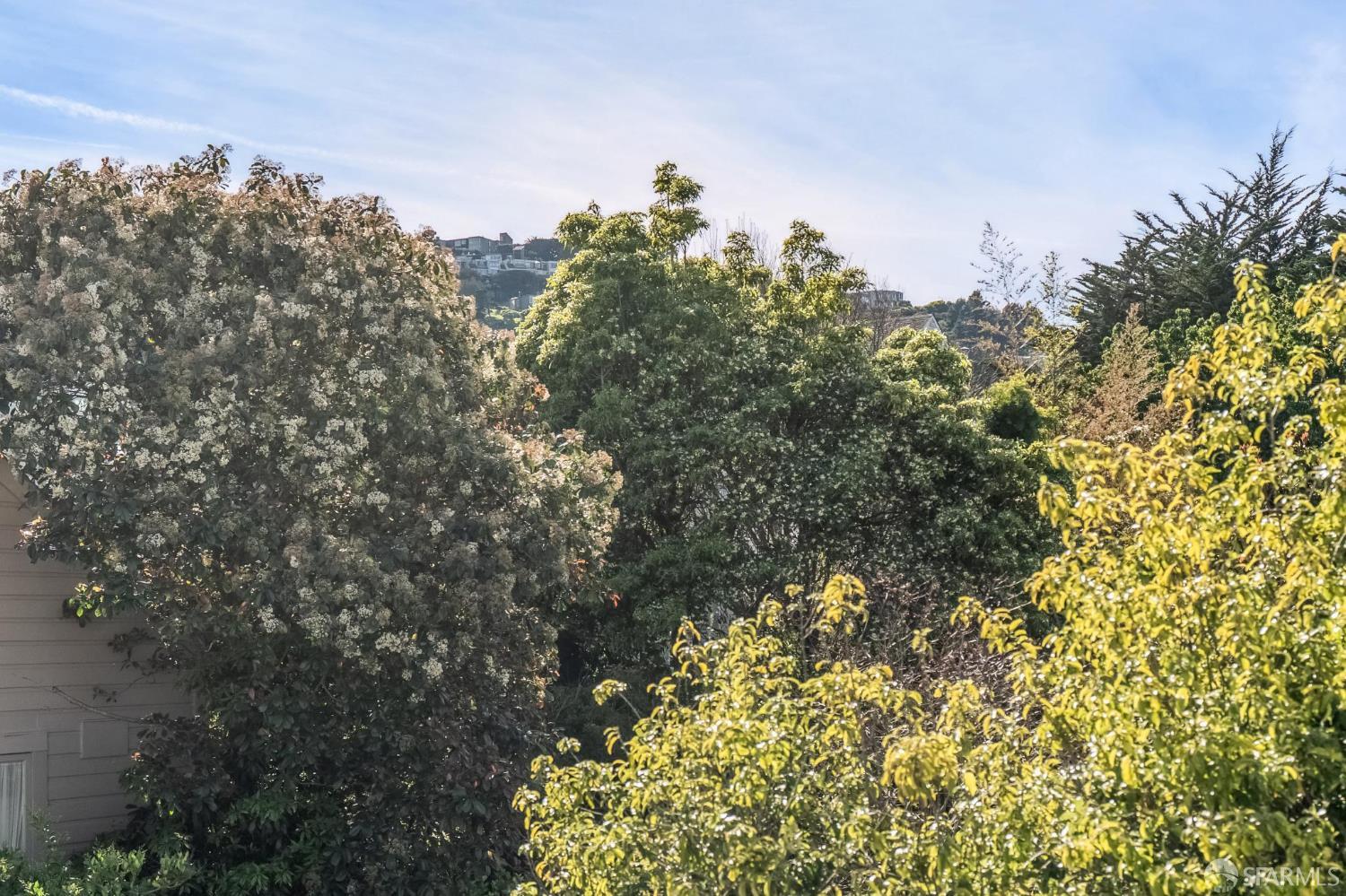 4125 24th Street # 4