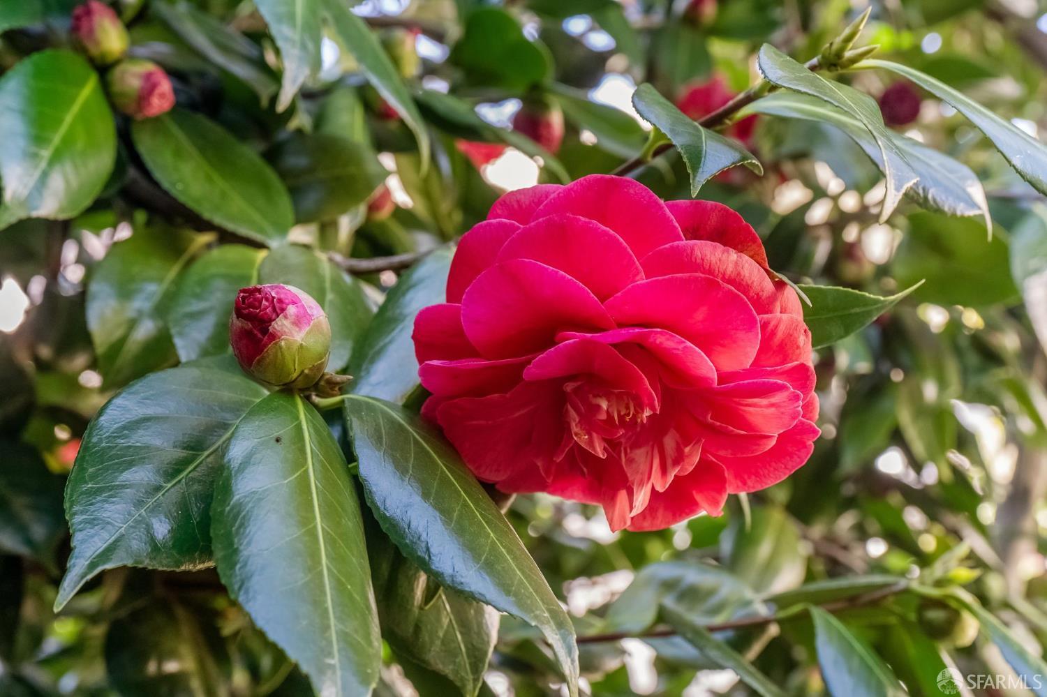 4125 24th Street # 4