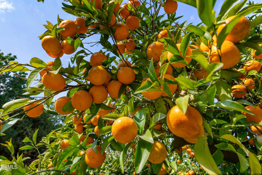 13803 Don Julian Road