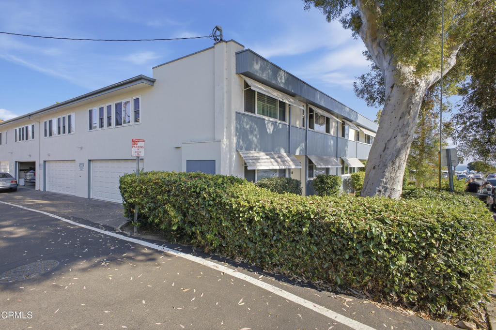 245 Aster Street 6