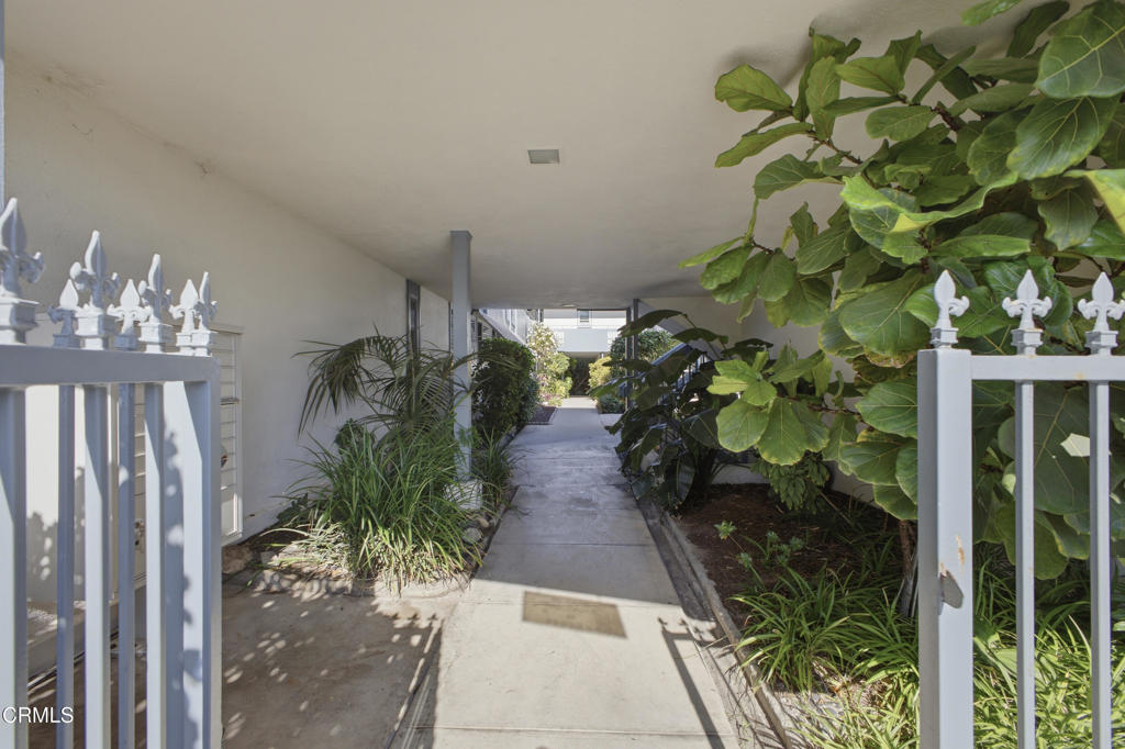 245 Aster Street 6