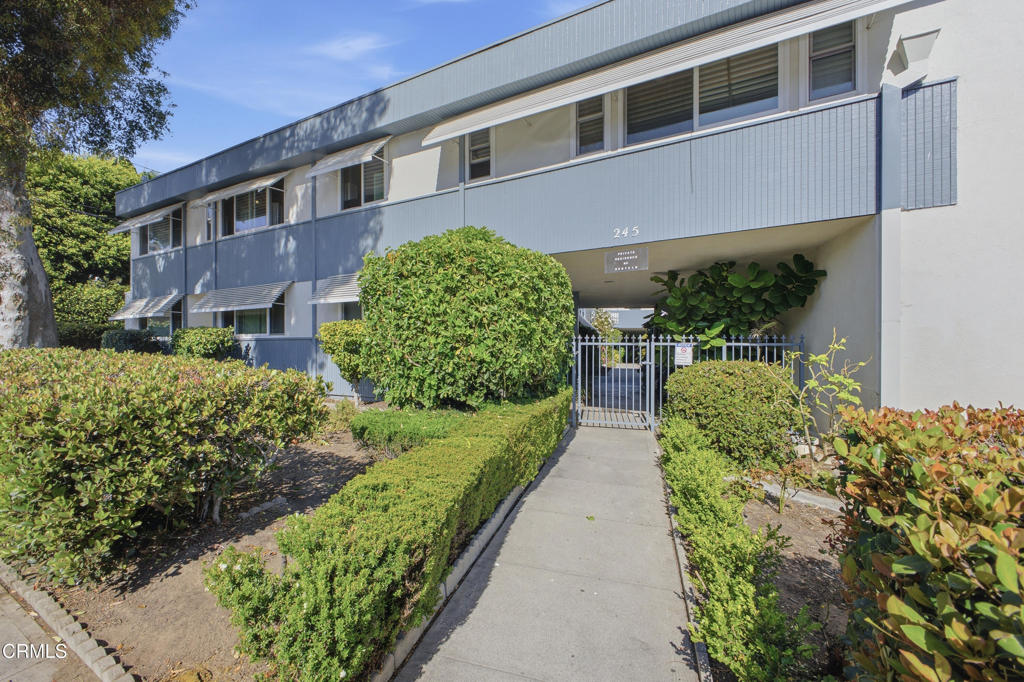 245 Aster Street 6