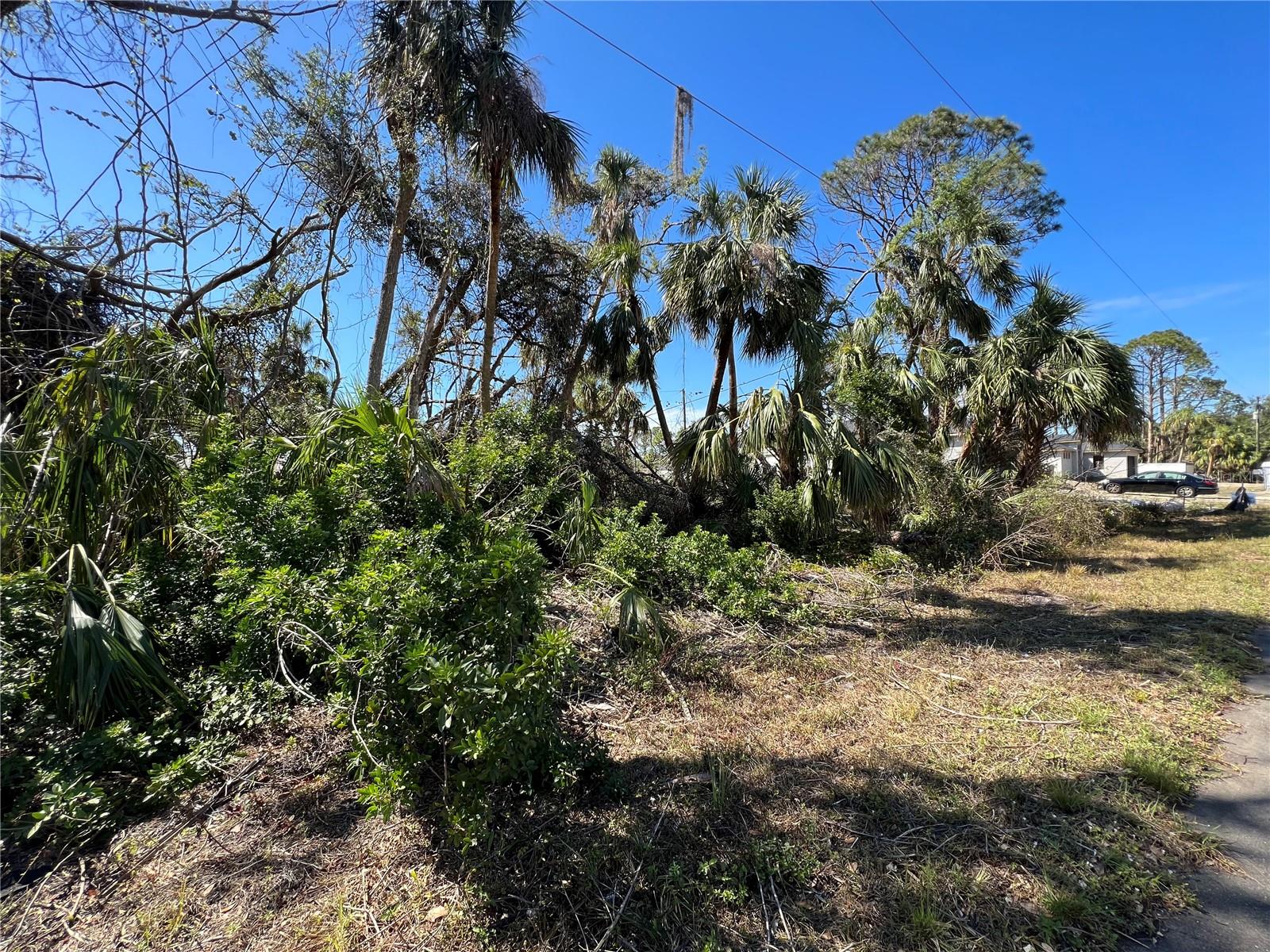 325 ORLEANS STREET