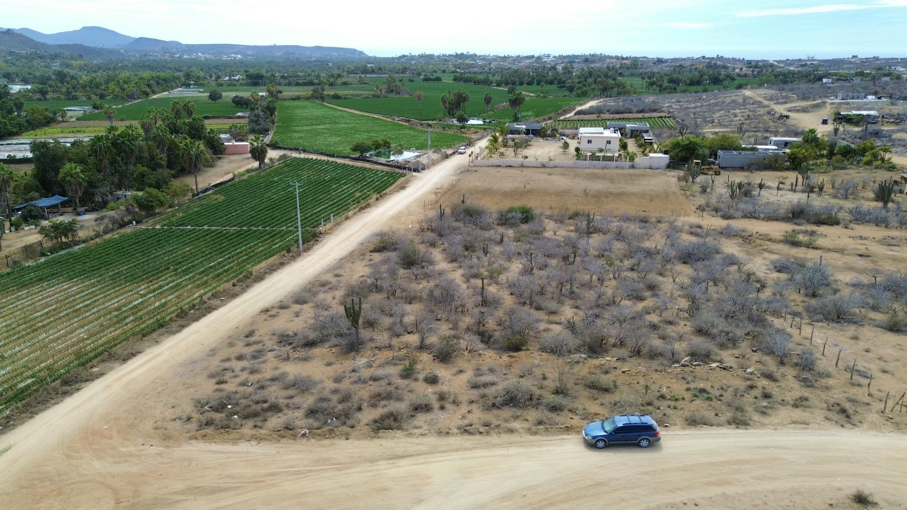 Corner Huerta Lot, Todos Santos