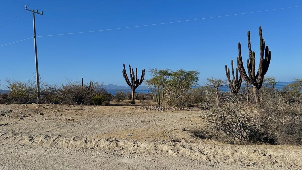 El Cardonal, Beachfront Paradise Lot