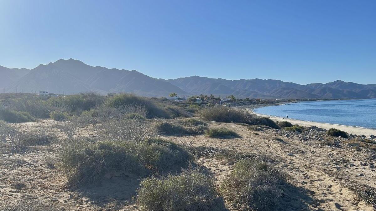 El Cardonal, Beachfront Paradise Lot