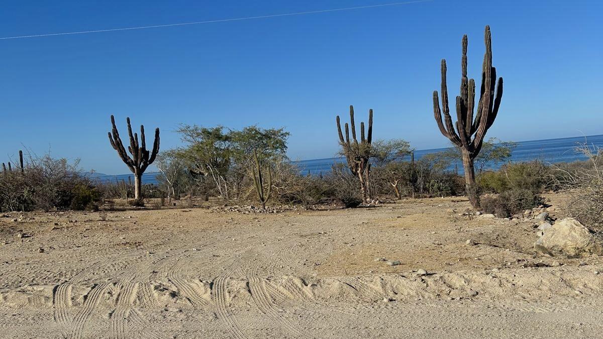 El Cardonal, Beachfront Paradise Lot